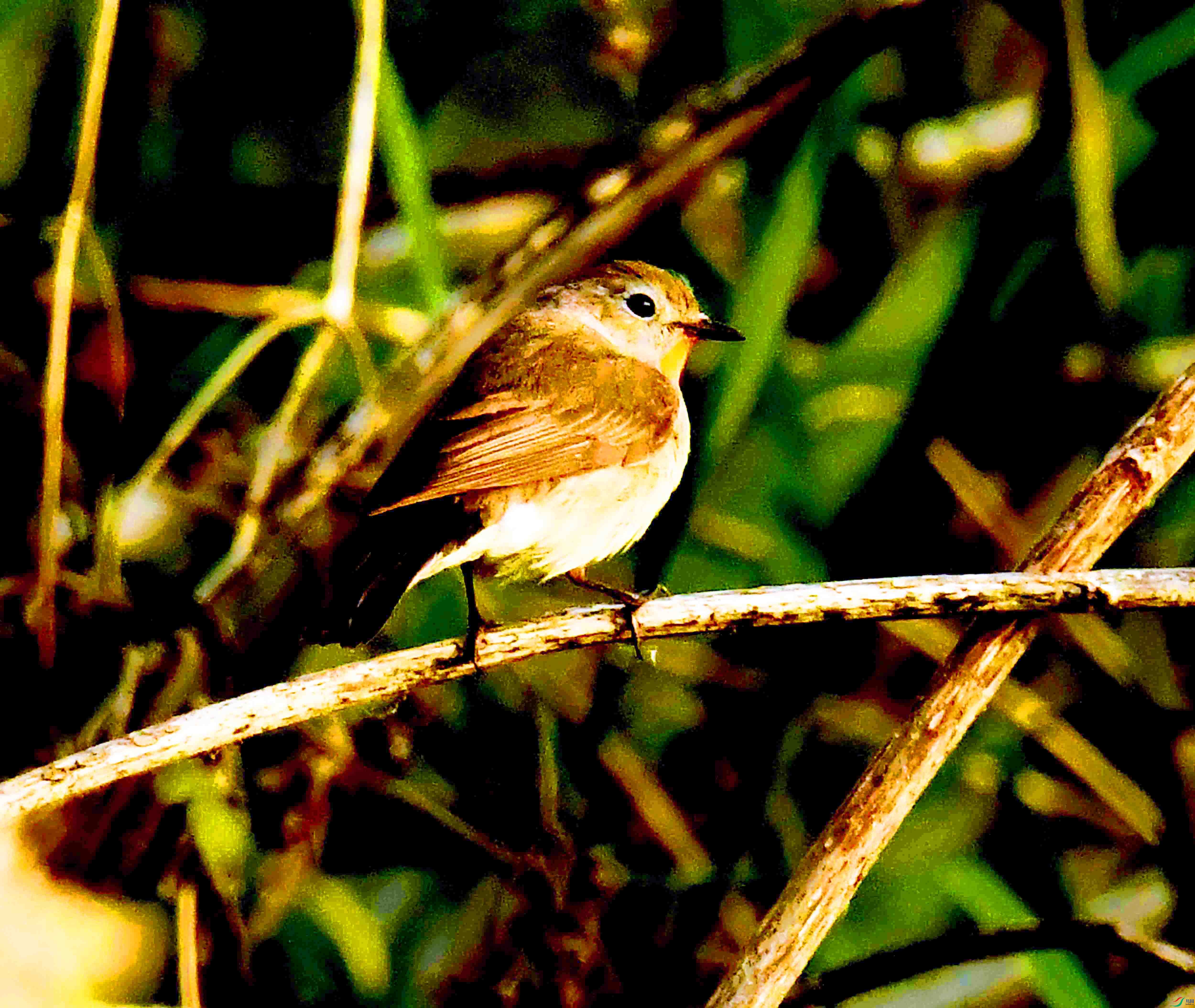 DSC_5848.JPG