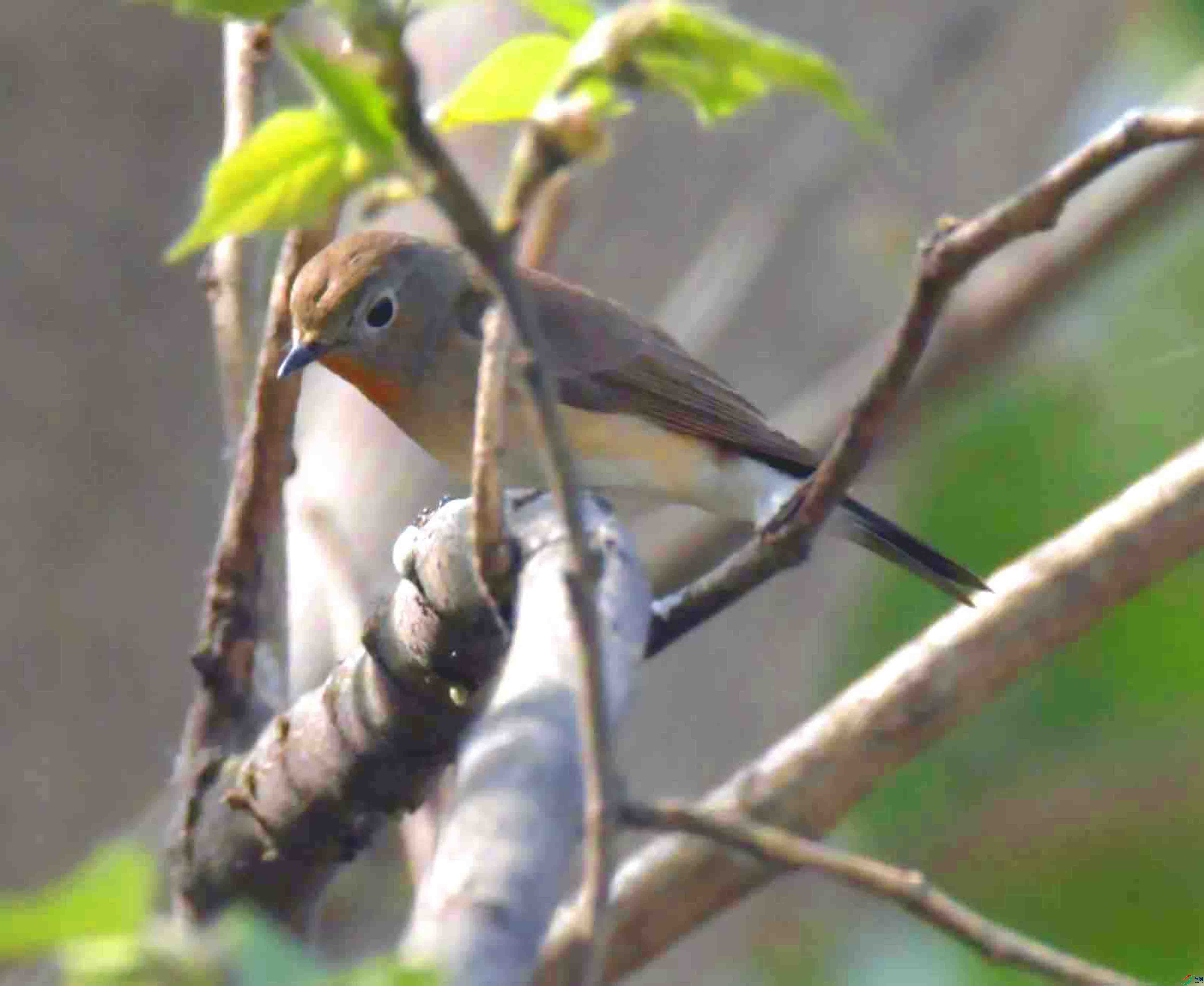 DSC_9030.JPG