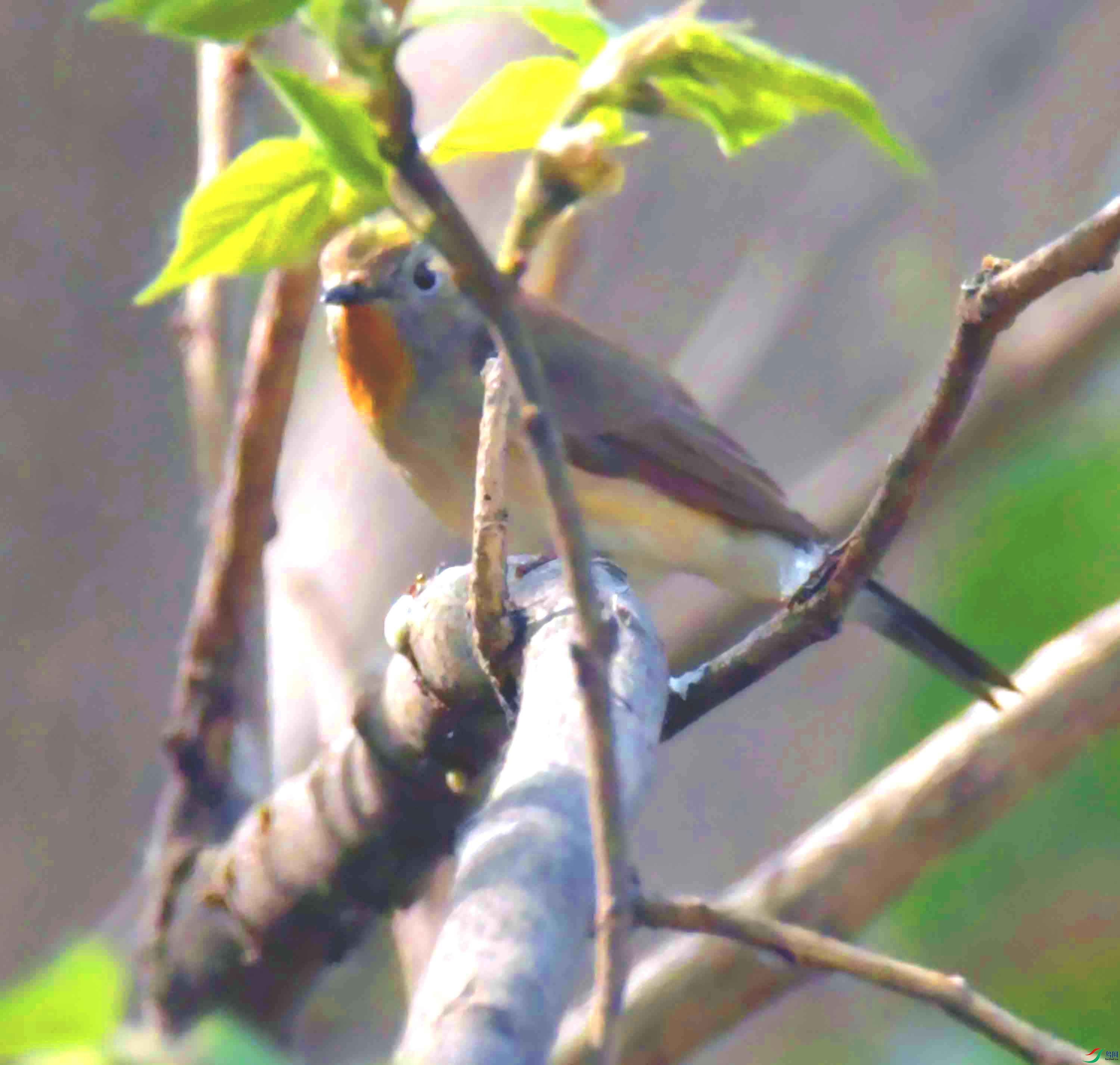DSC_9031.JPG