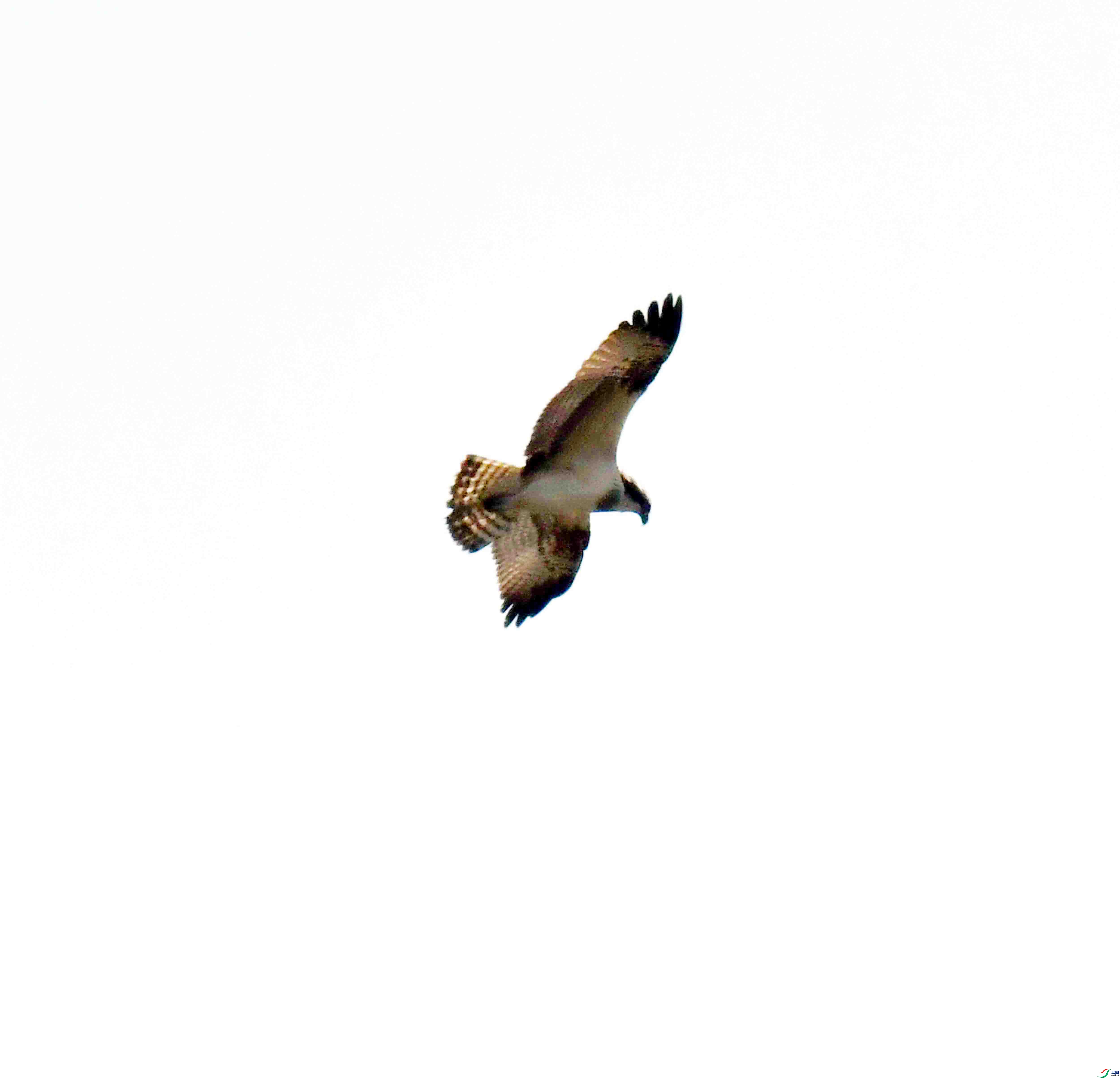 DSC_5218.JPG