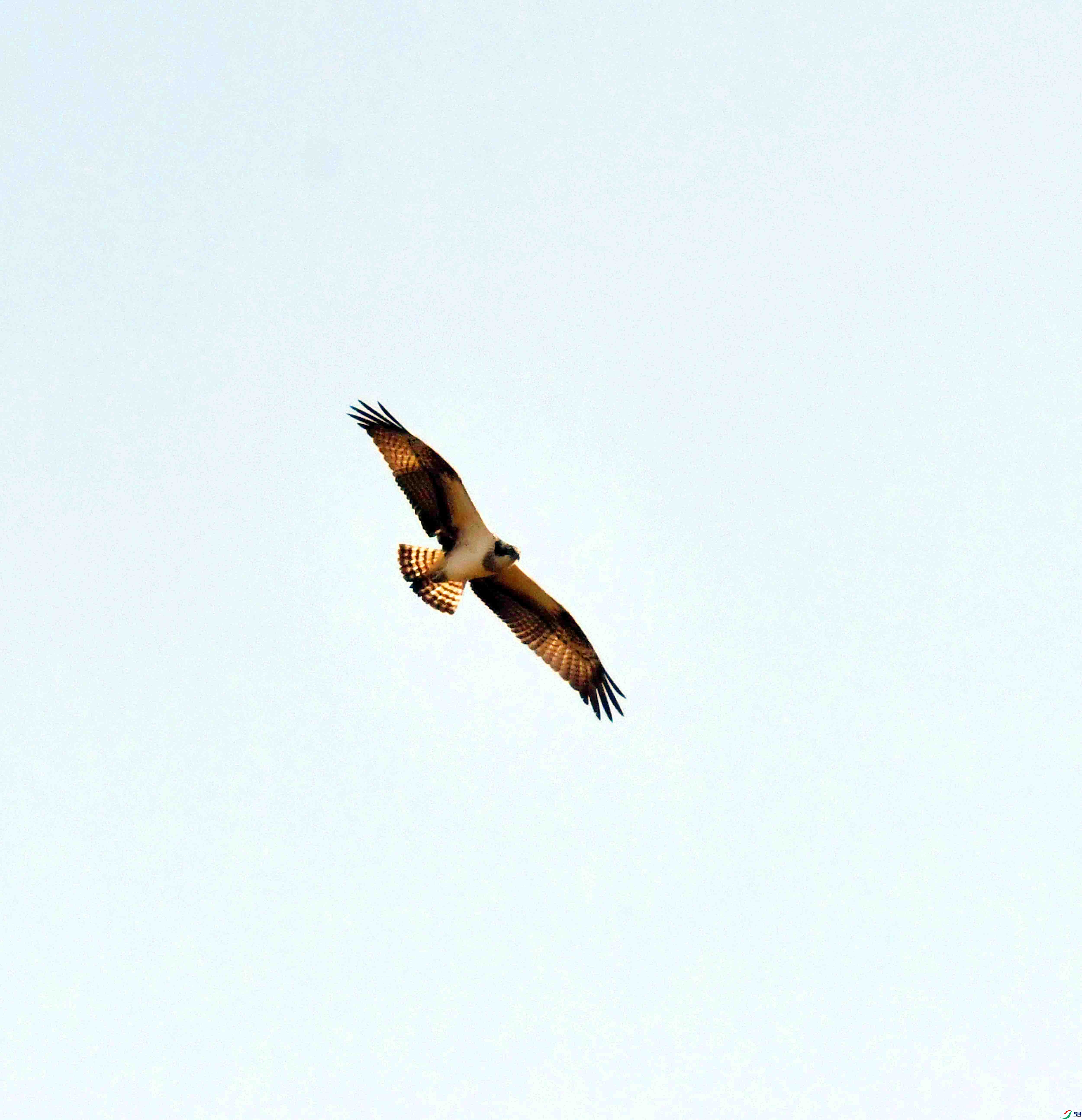 DSC_5260.JPG