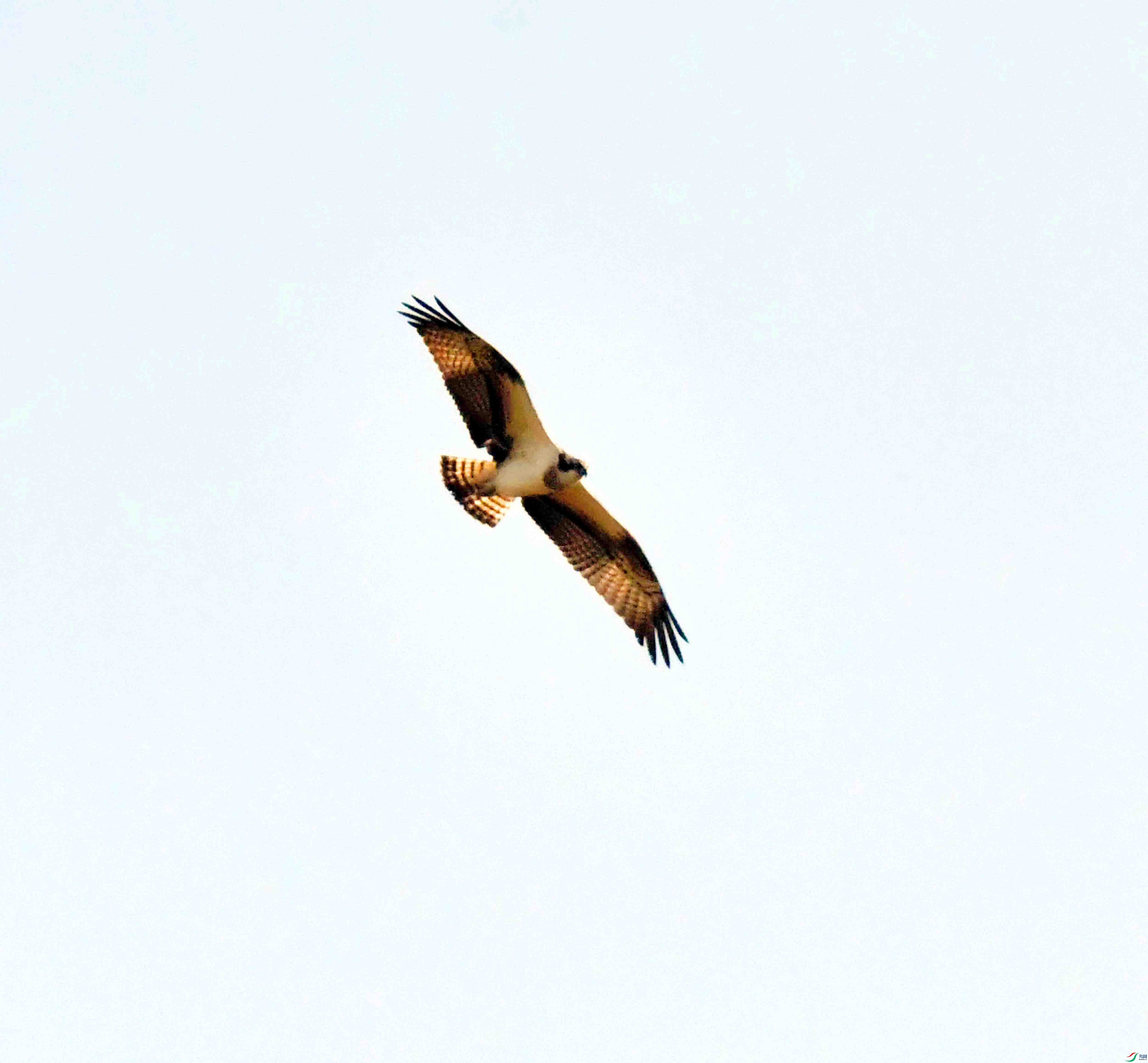DSC_5261.JPG