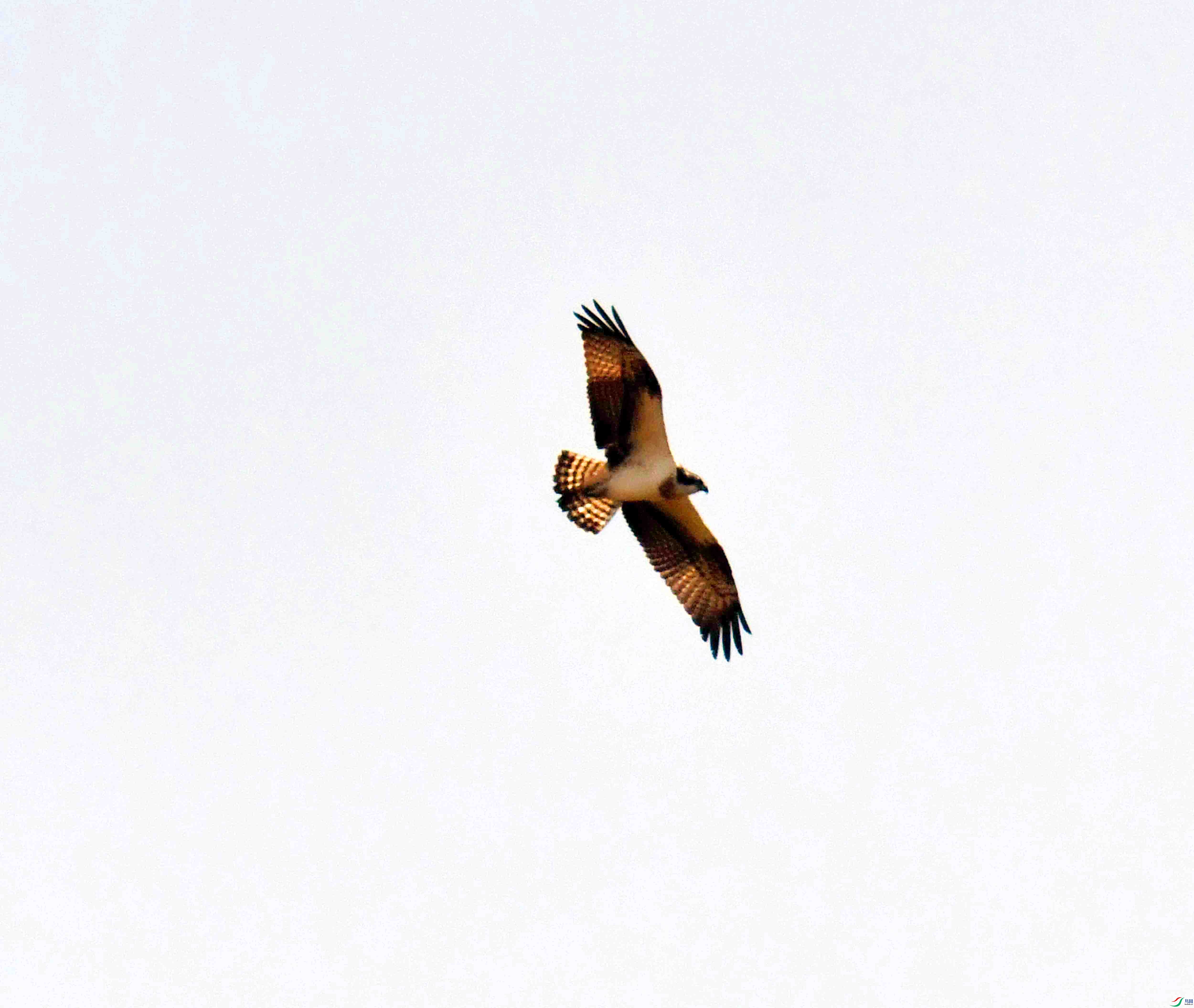 DSC_5262.JPG