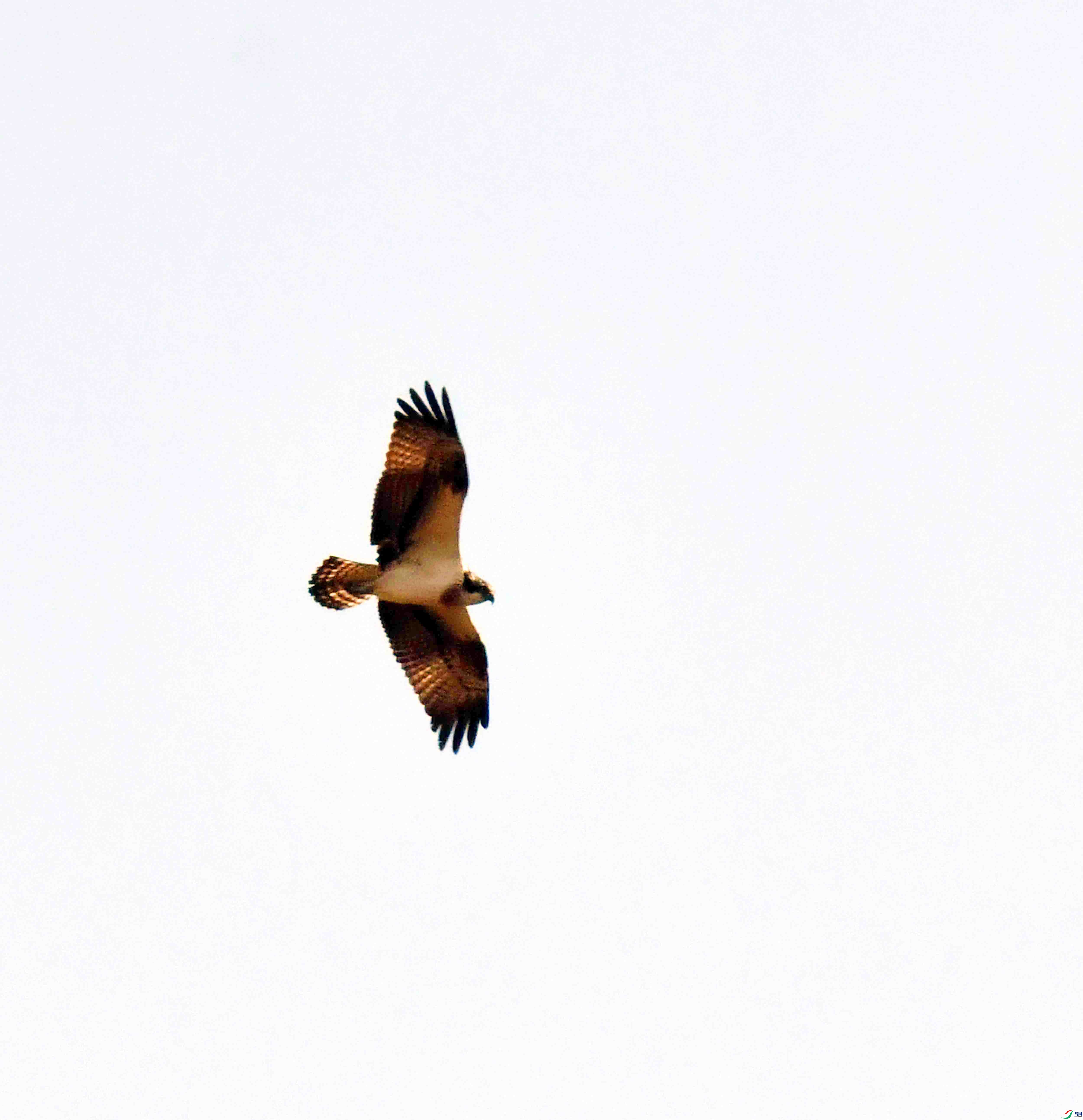DSC_5264.JPG