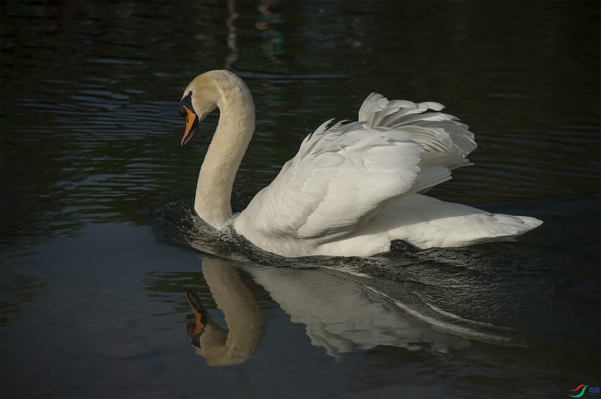 XQD_5015 ������.jpg