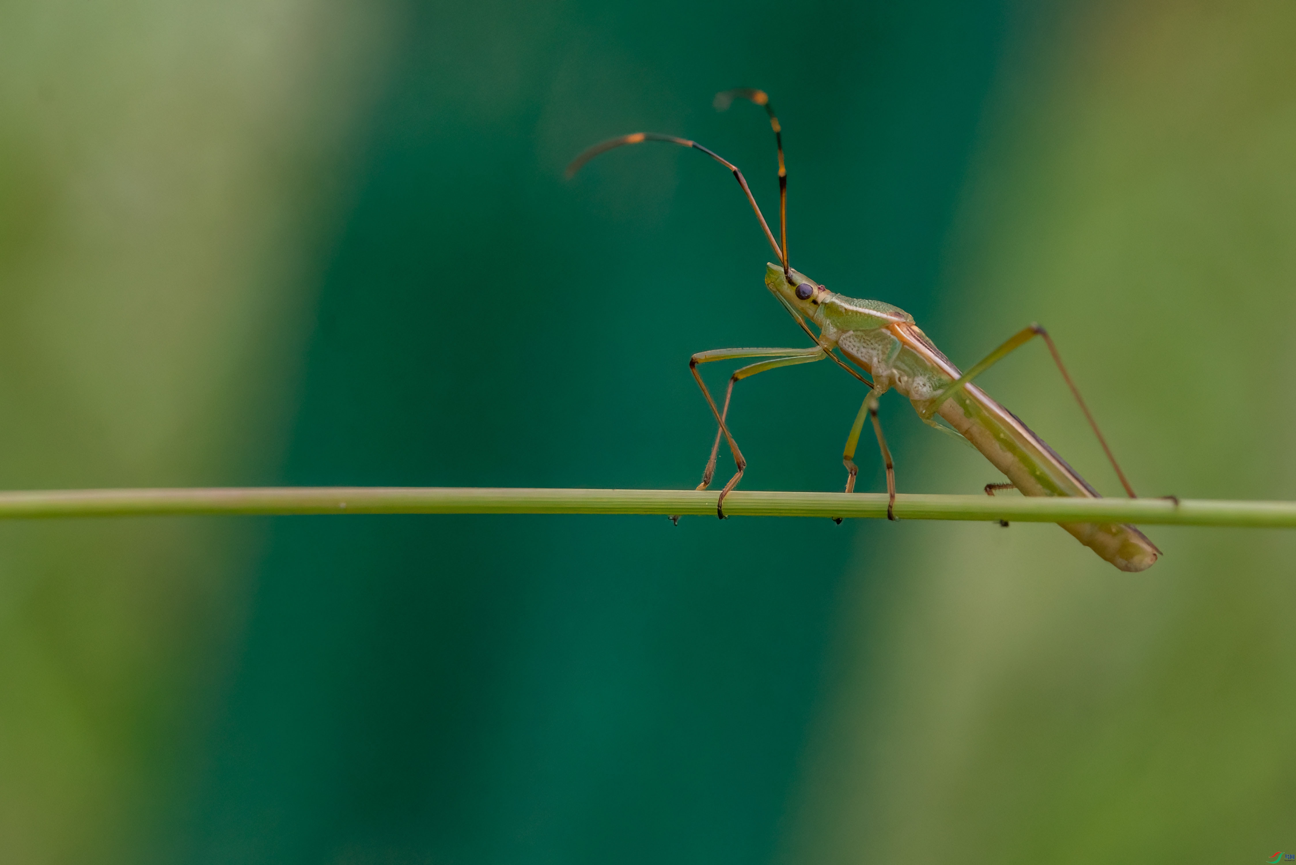 DSC_2633.jpg