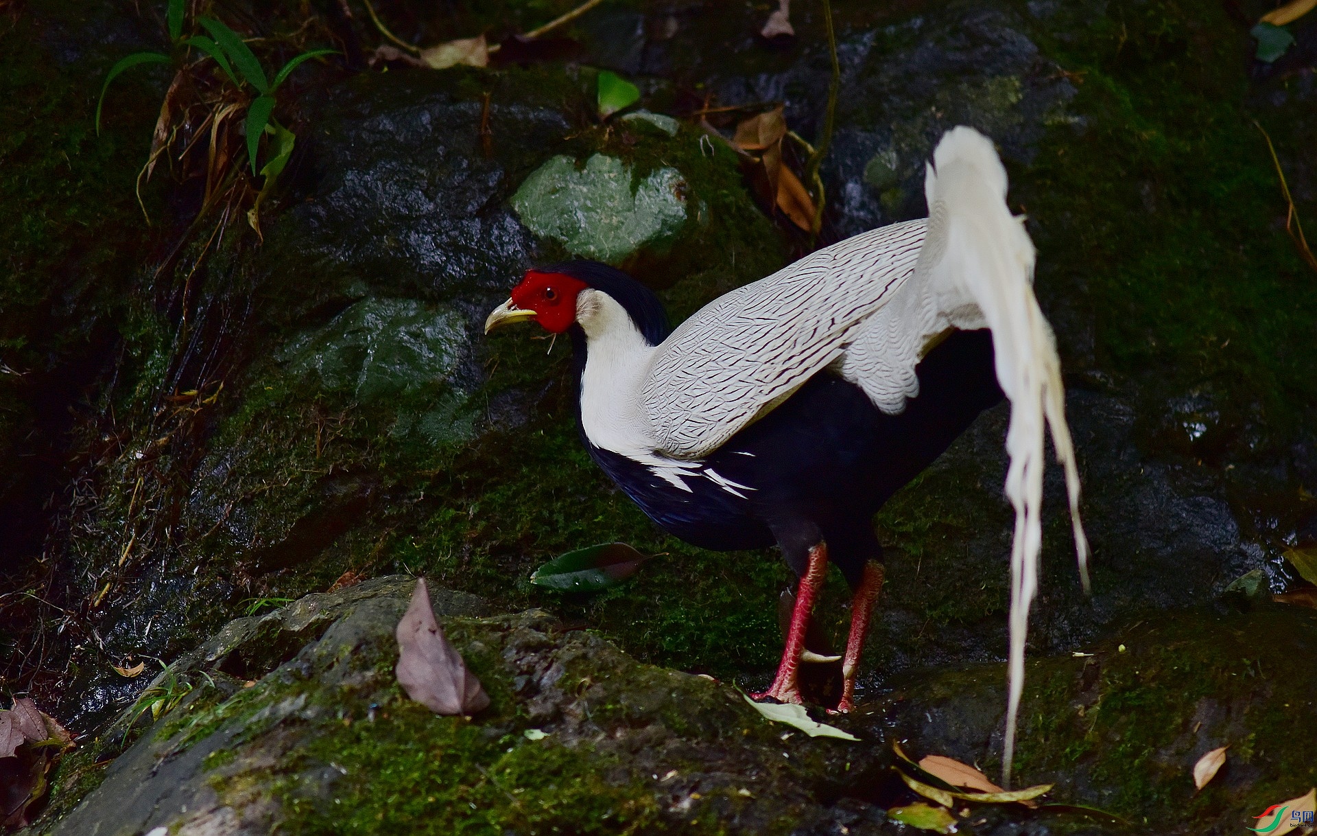 D8I_2722.jpg
