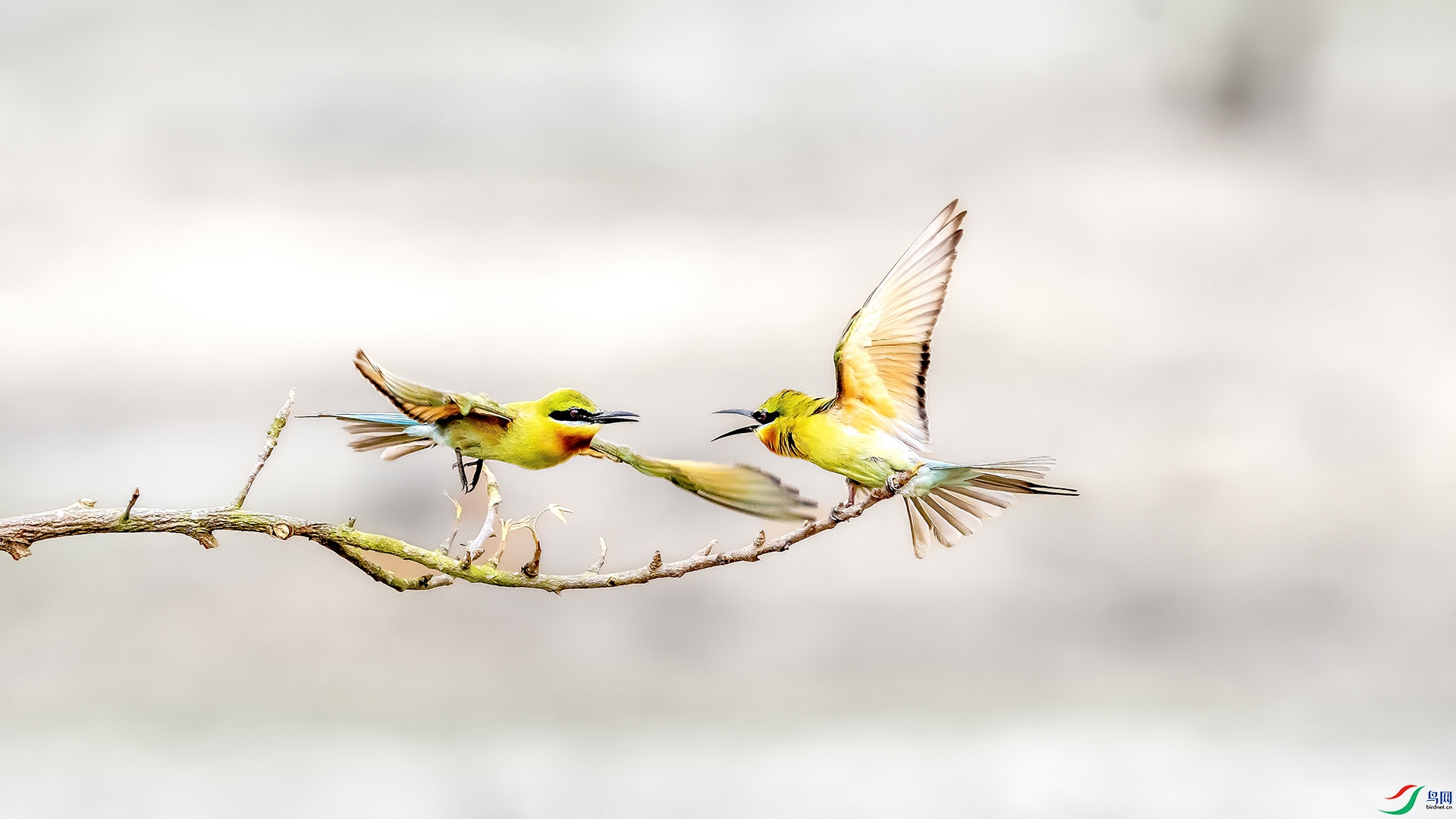 DSC_1779 ���� 2.jpg