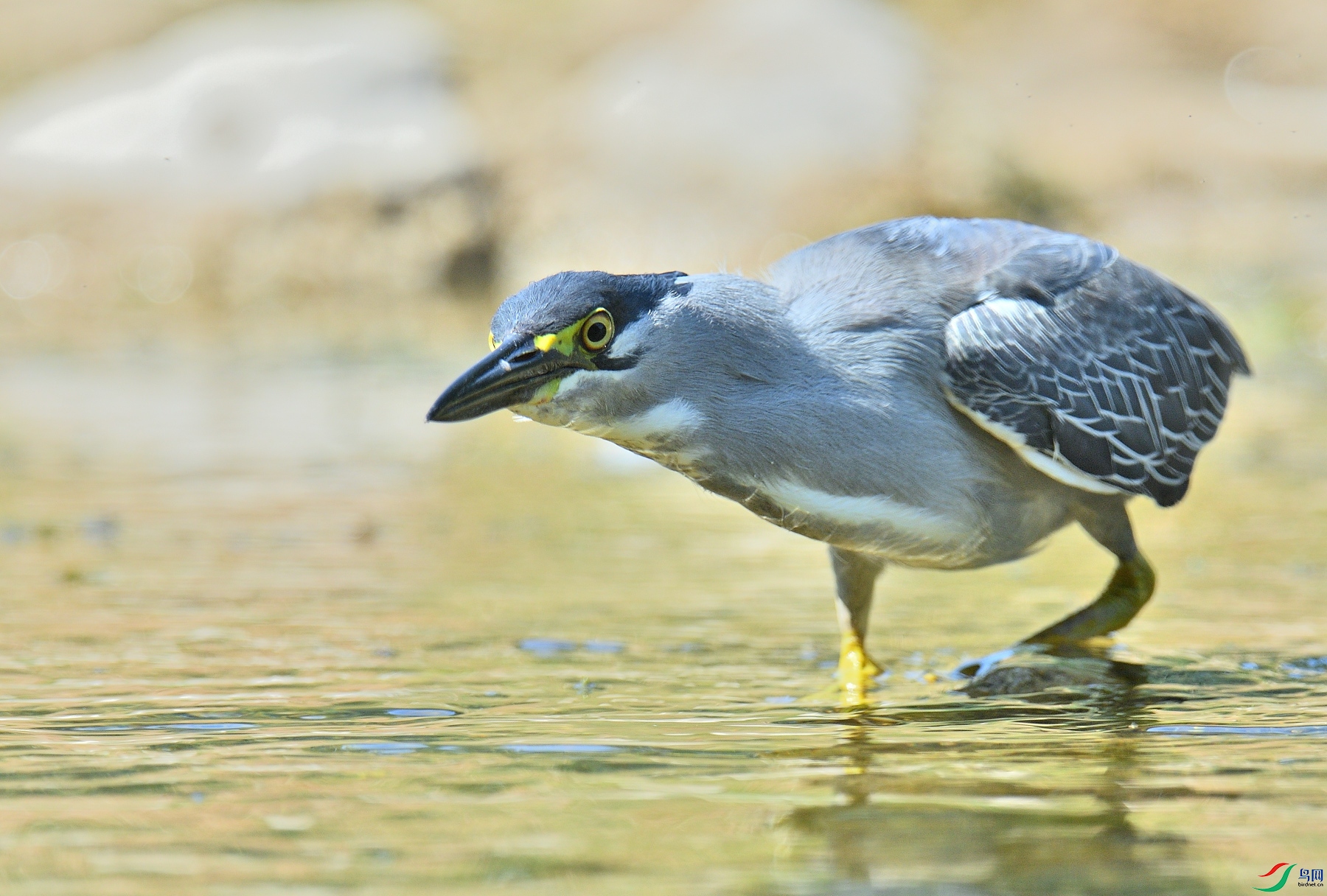 DSC_3943.JPG