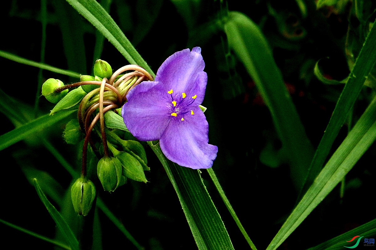 IMG_2487.jpg