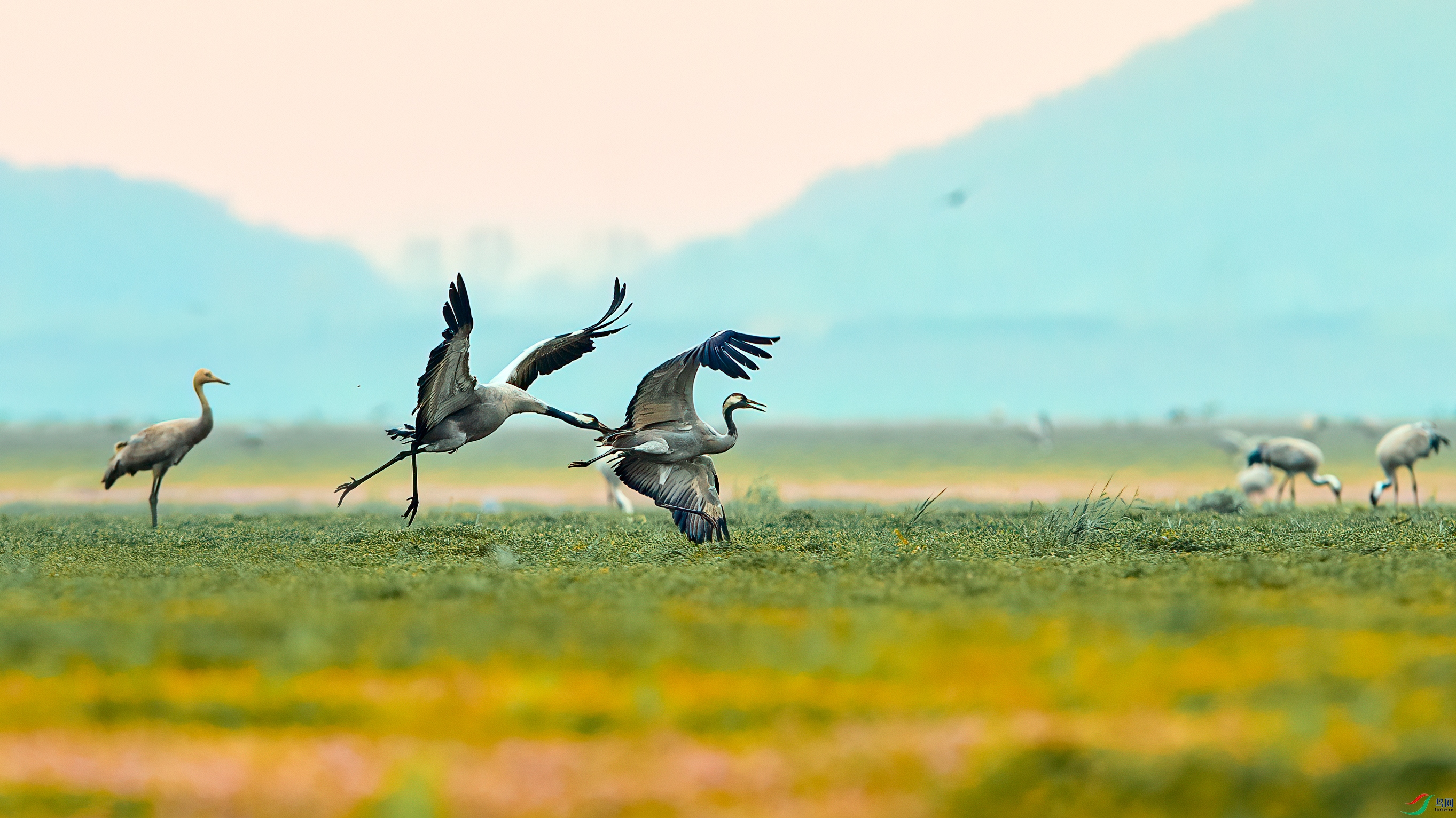 _DSC4291 ����.jpg