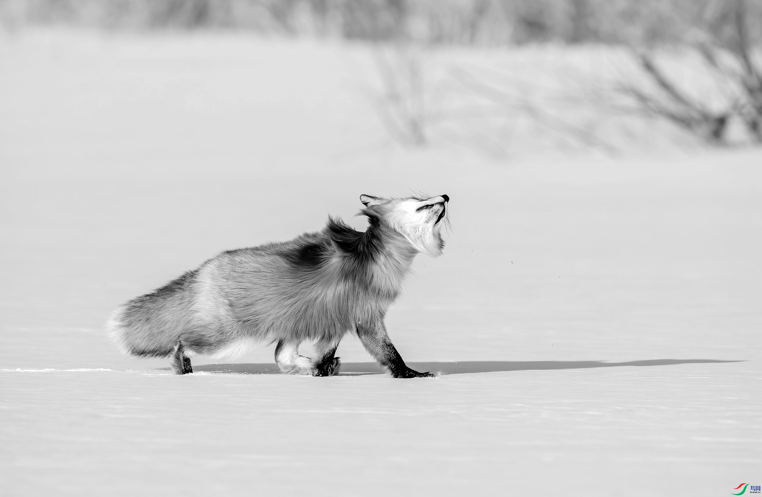 AC3I1644 ����_����.jpg