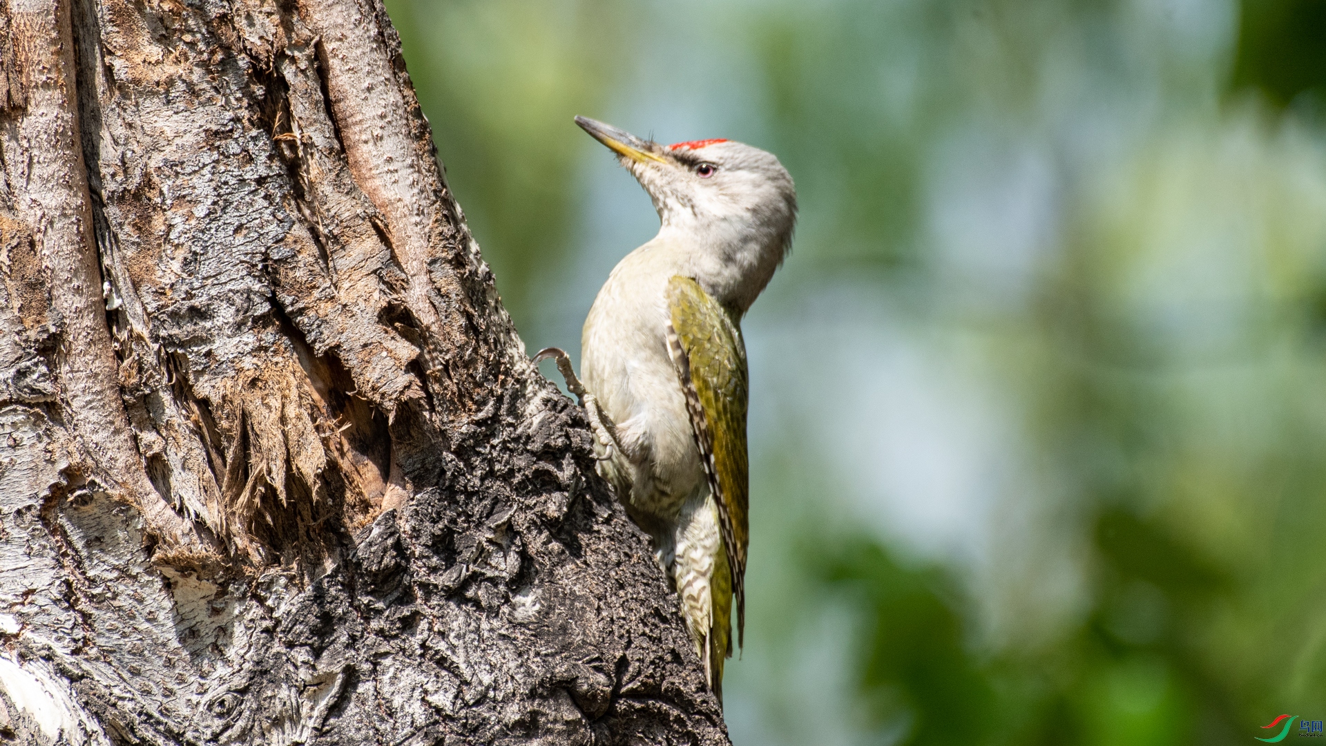 DSC_8720.jpg