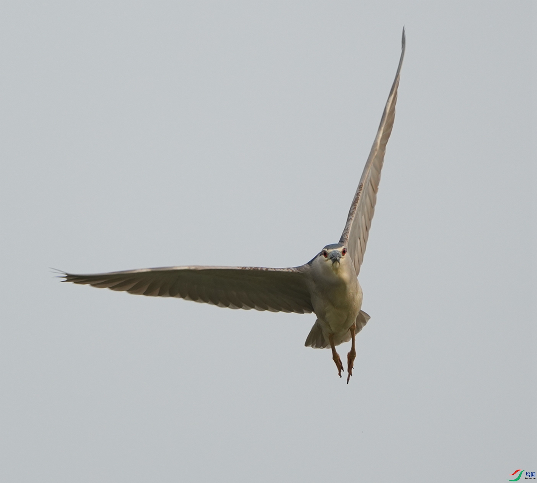 DSC08652.JPG