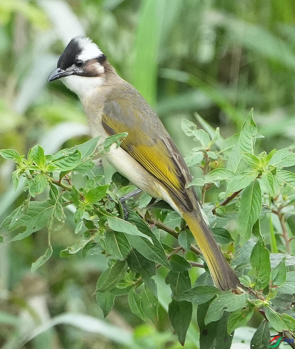 DSC08184.JPG