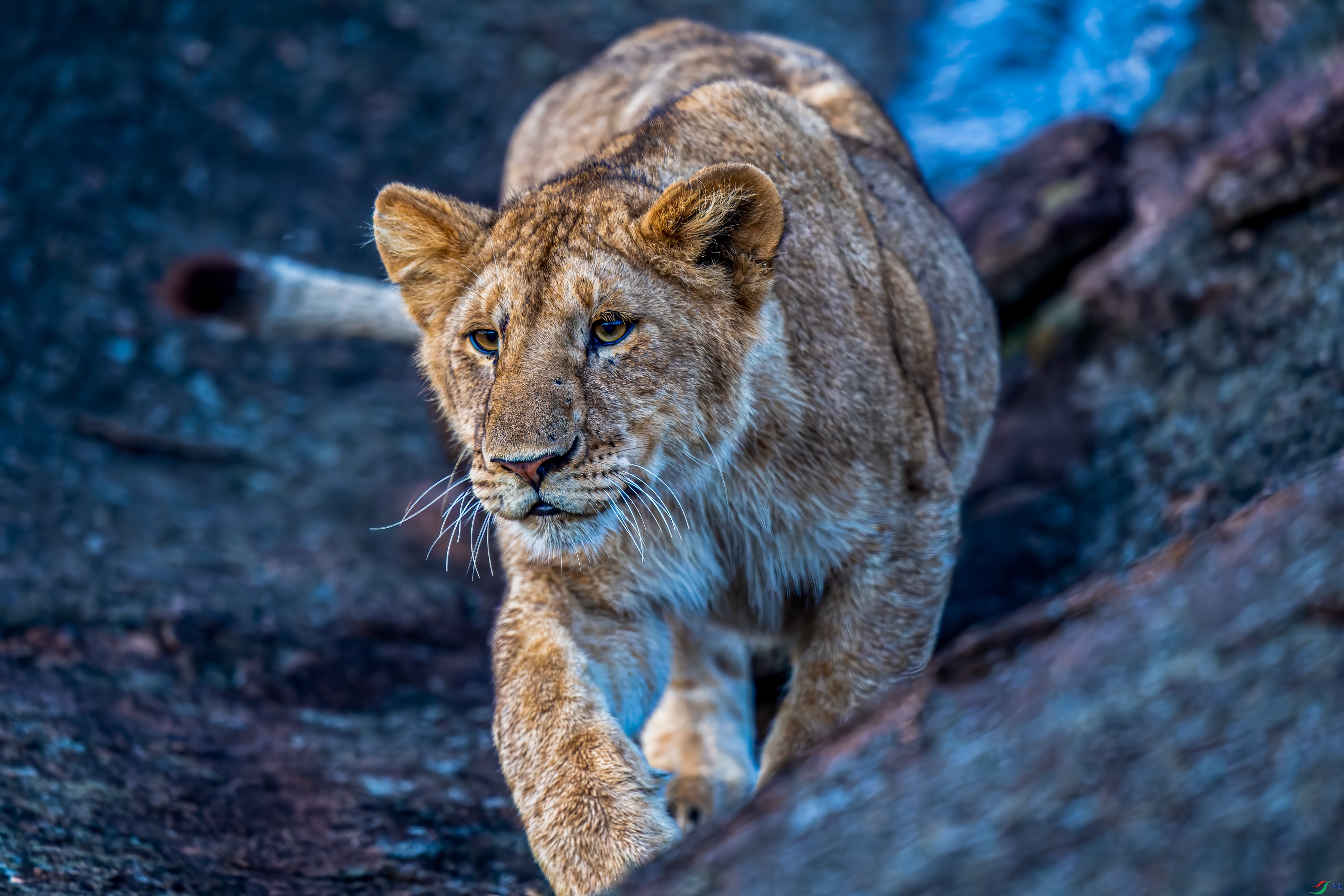 DSC_0045.jpg