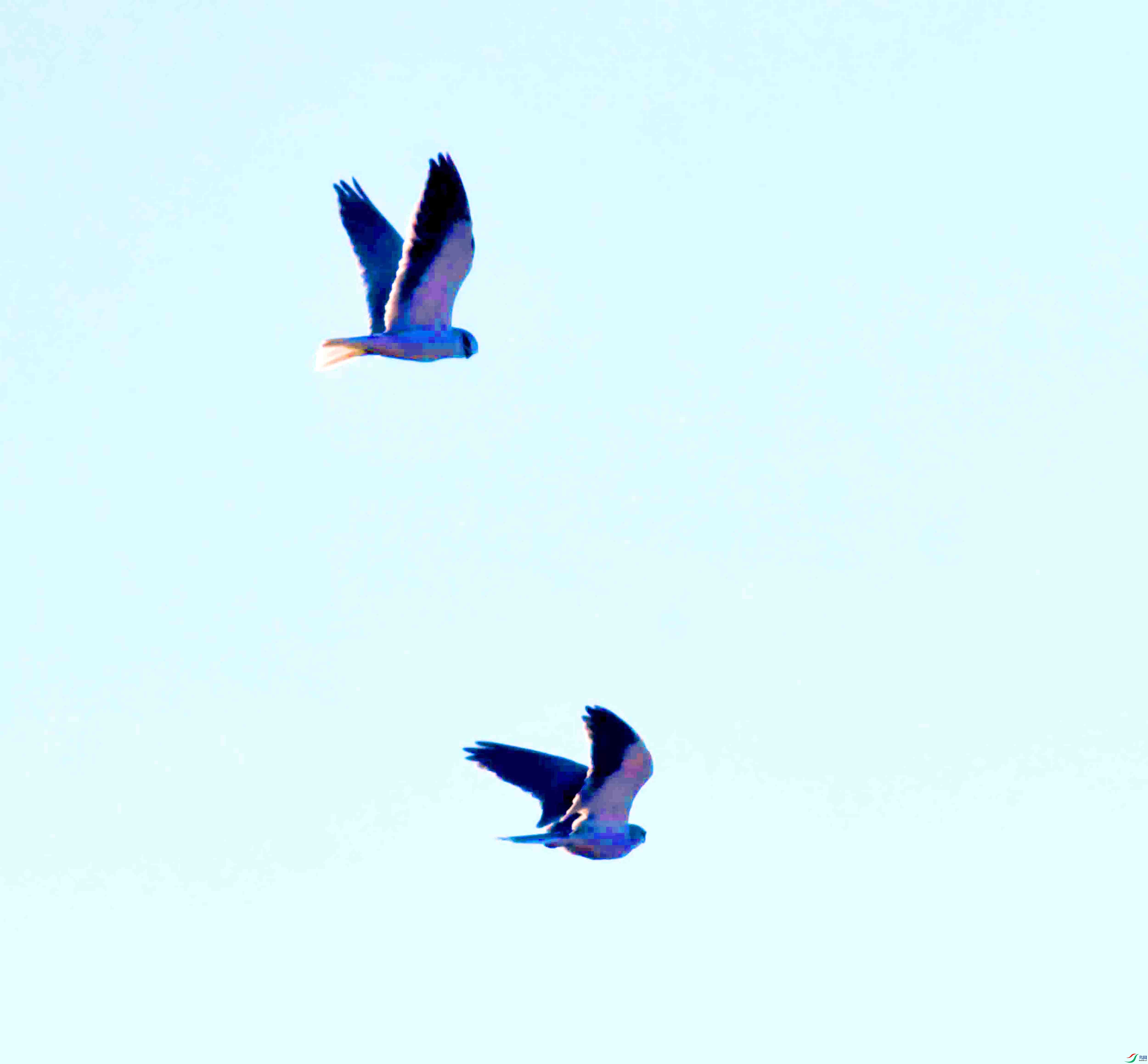 DSC_7205.JPG