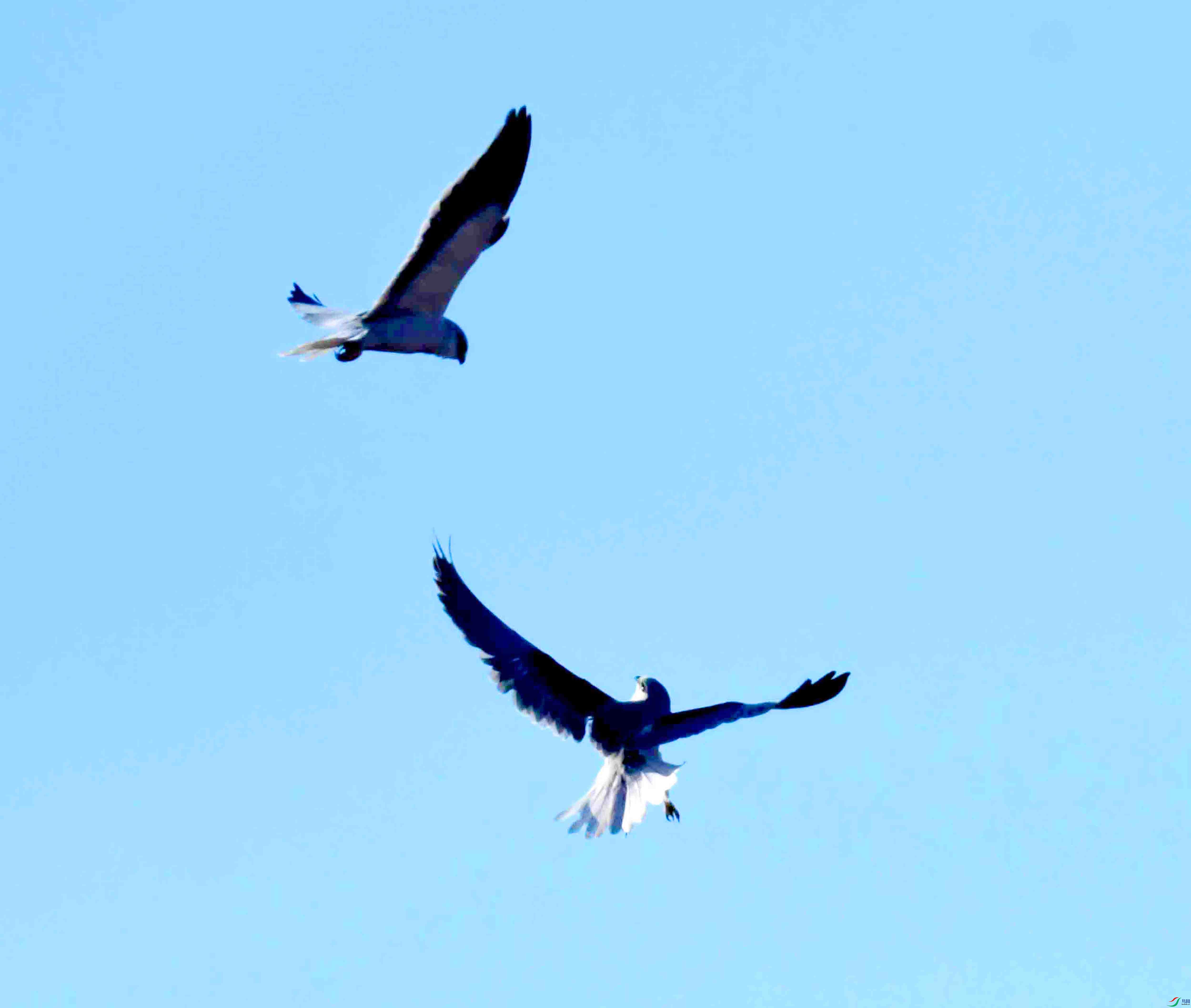DSC_7254.JPG