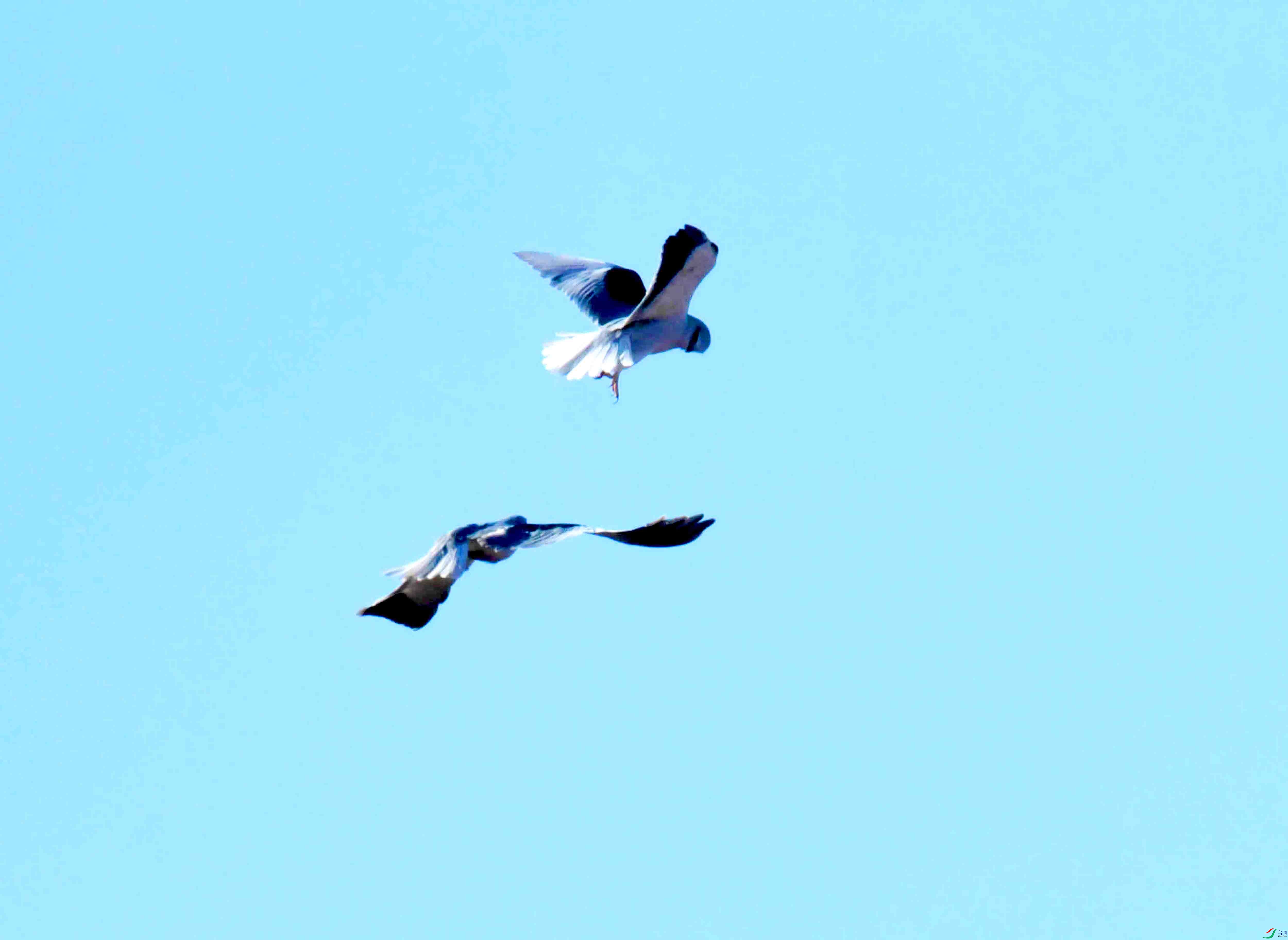 DSC_7278.JPG