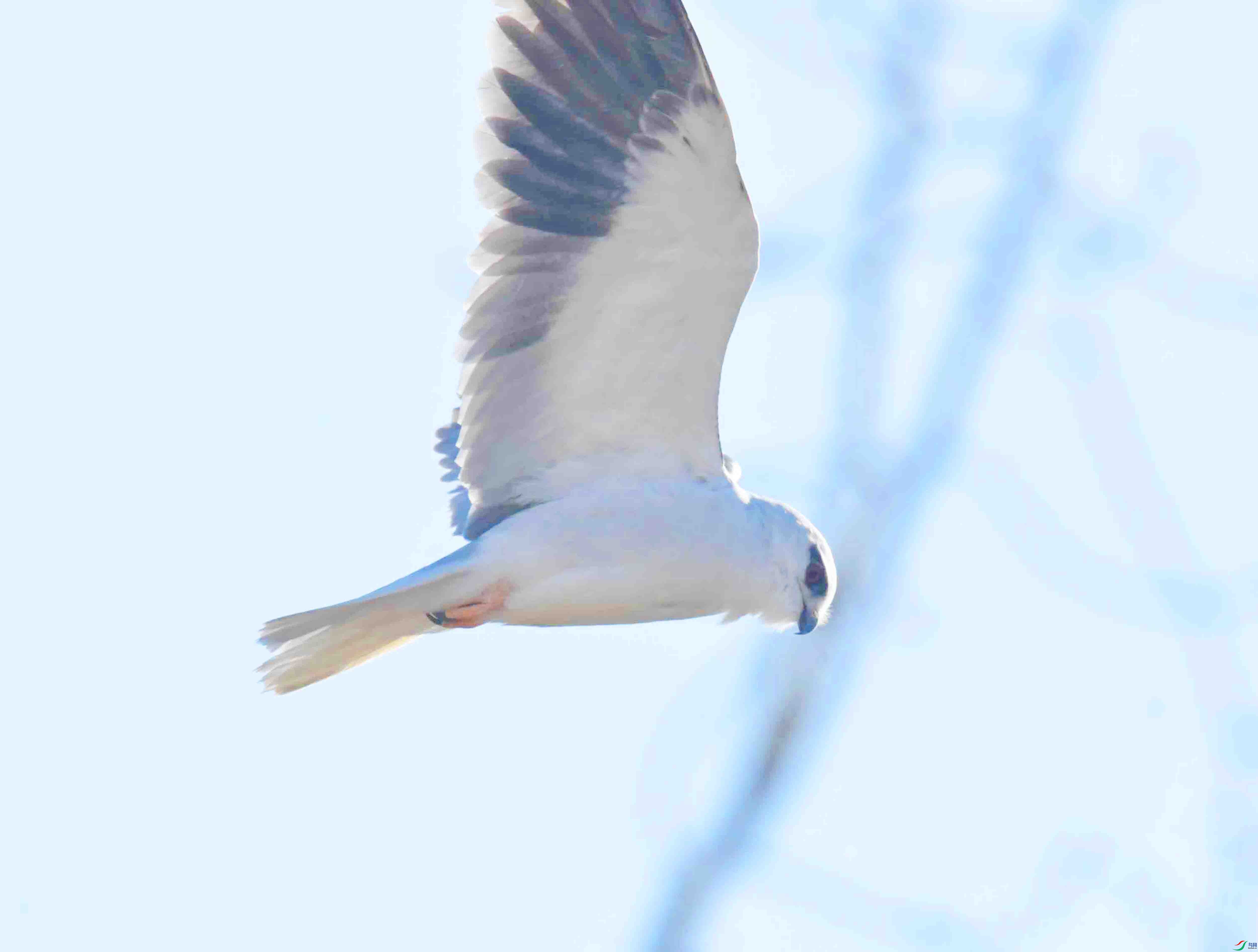 DSC_7643.JPG
