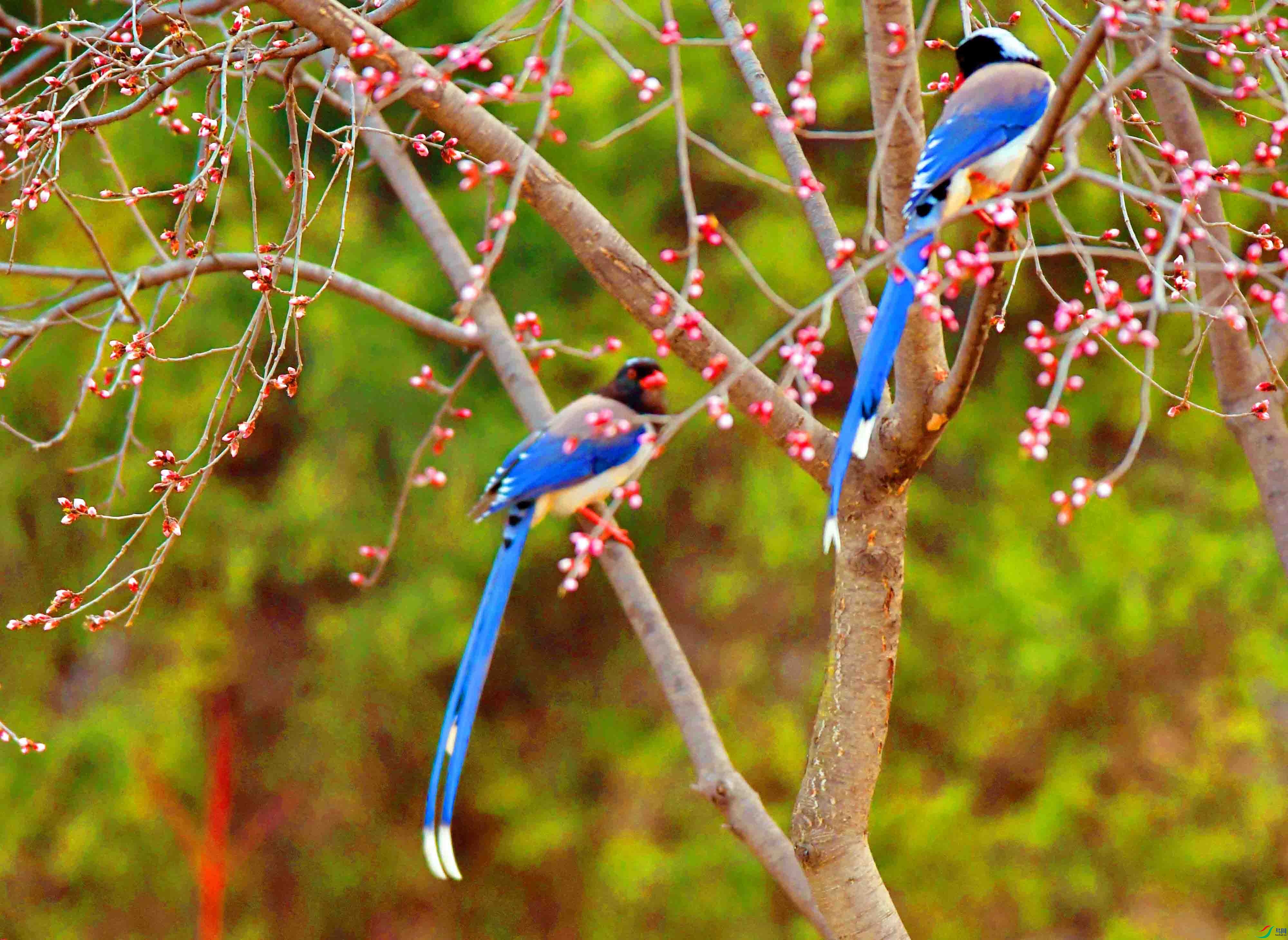 Copy2_DSC_1425.JPG