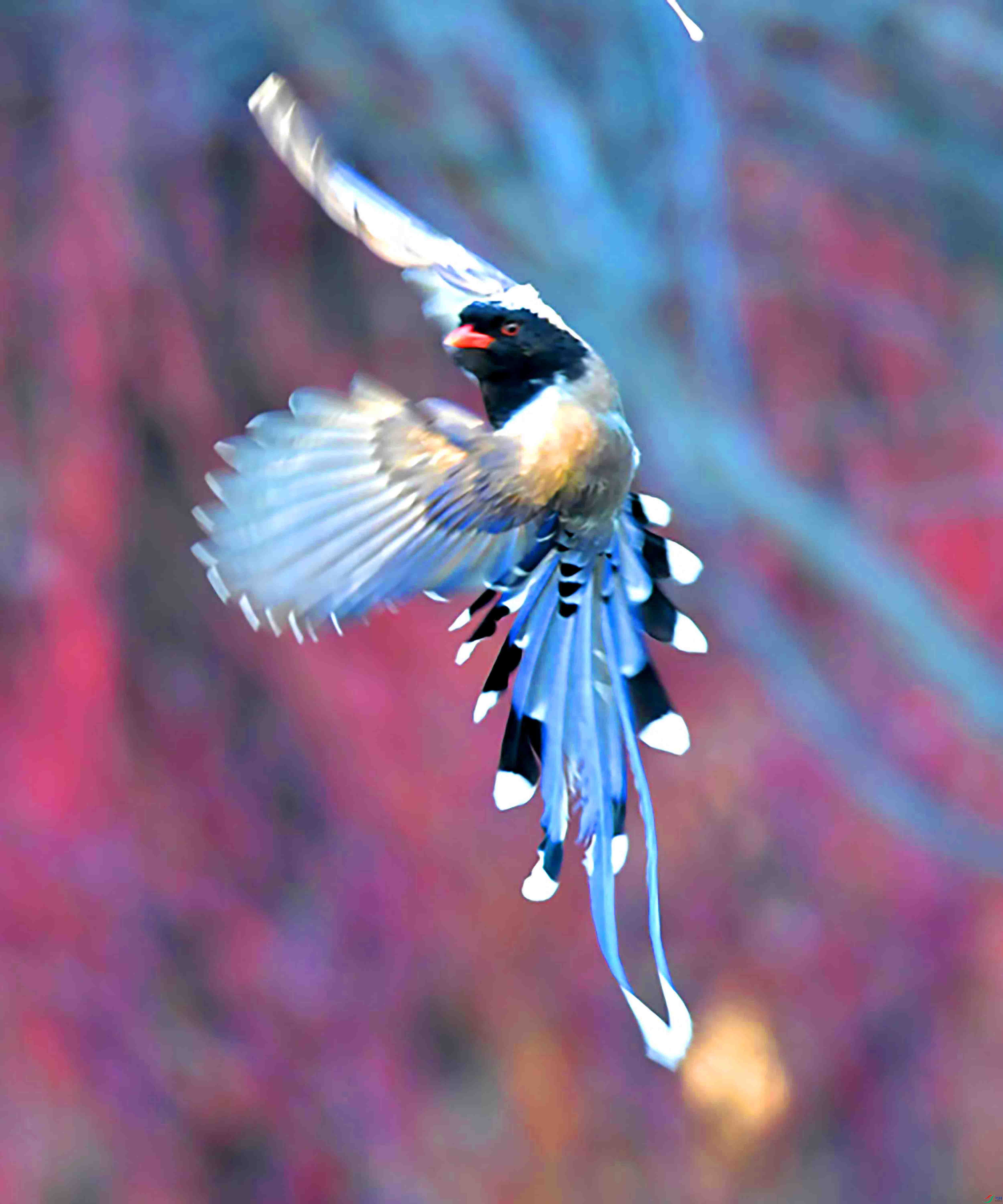 Copy2_DSC_7479.JPG