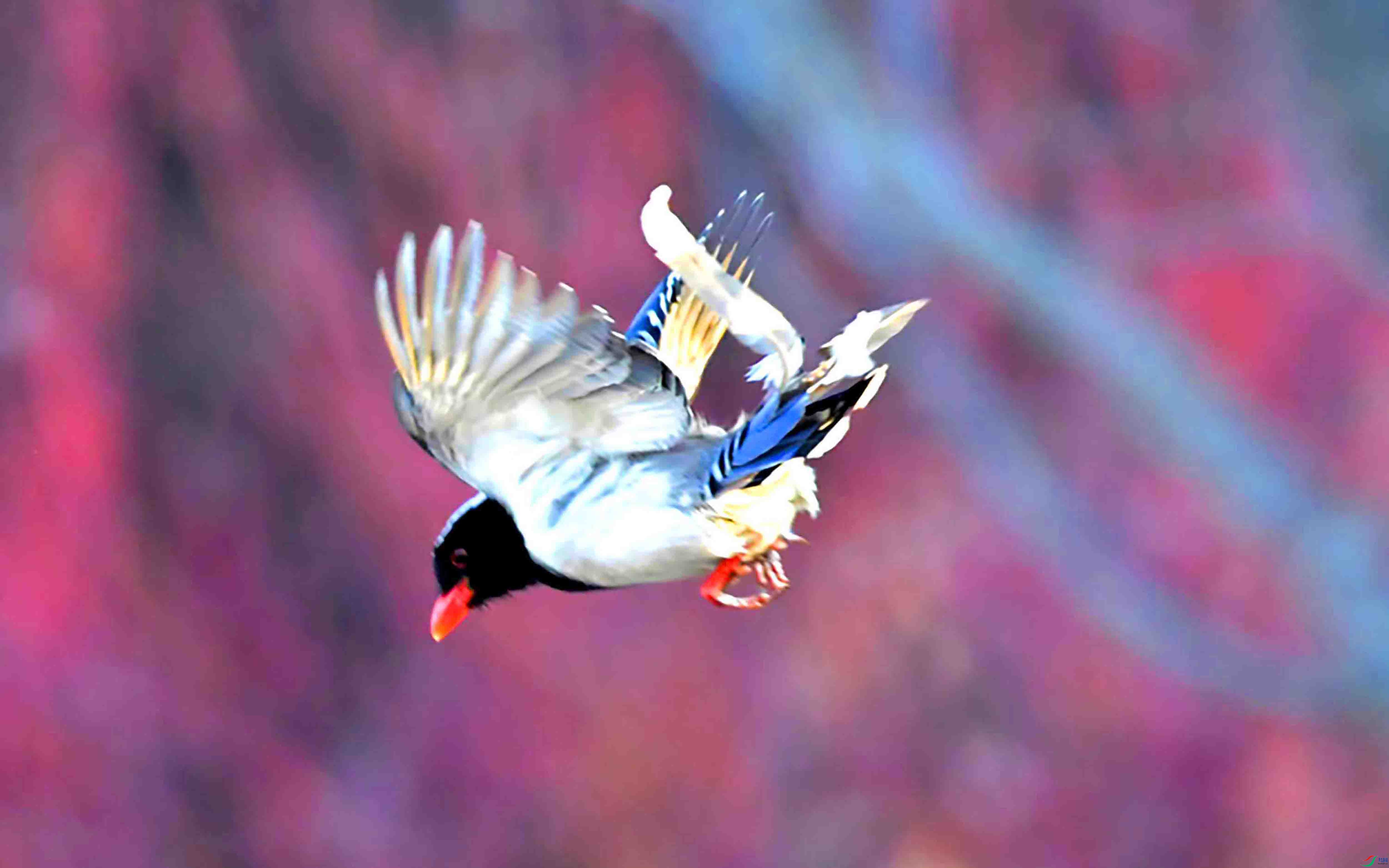 Copy2_DSC_7470.JPG