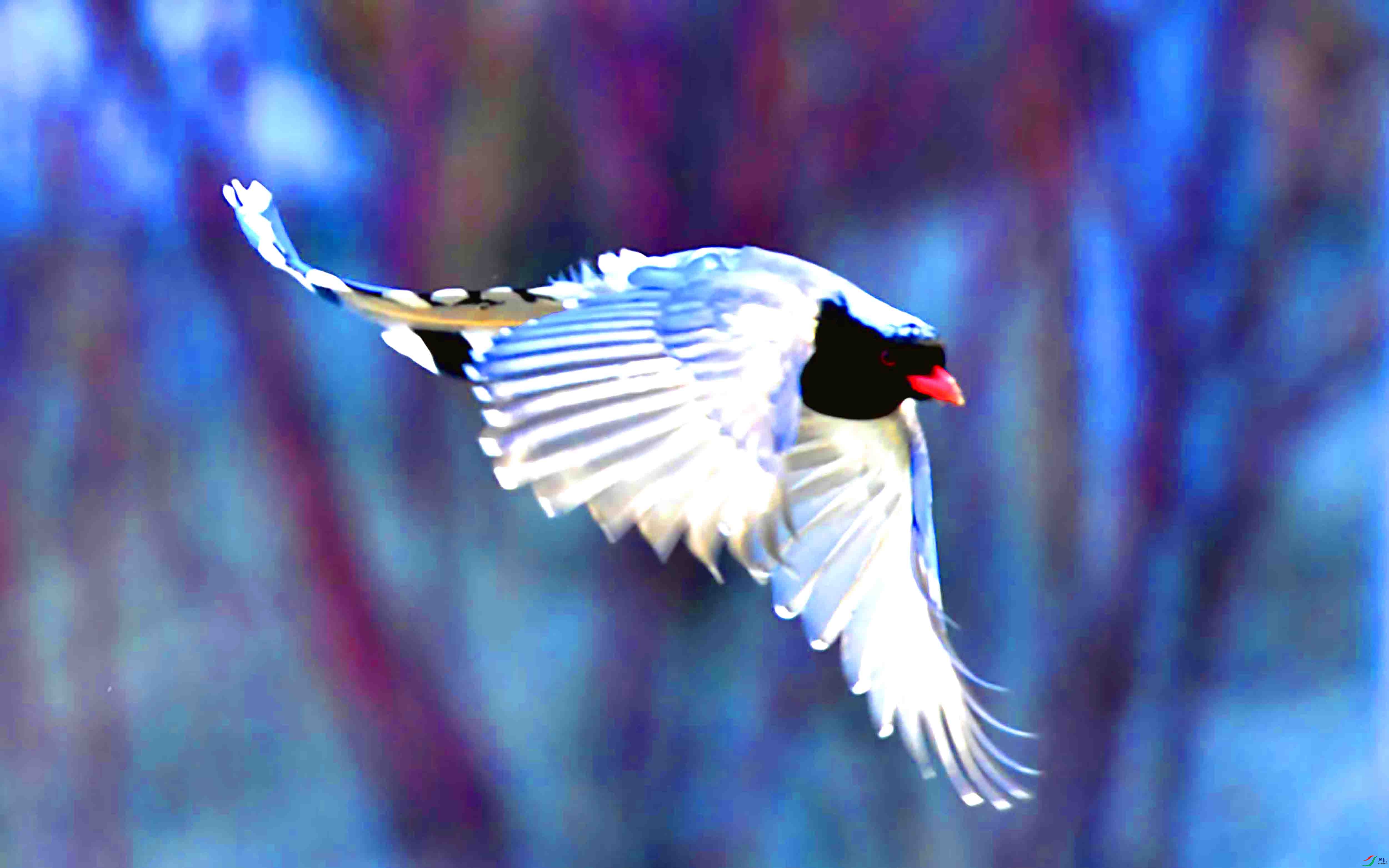 Copy2_DSC_7561.JPG