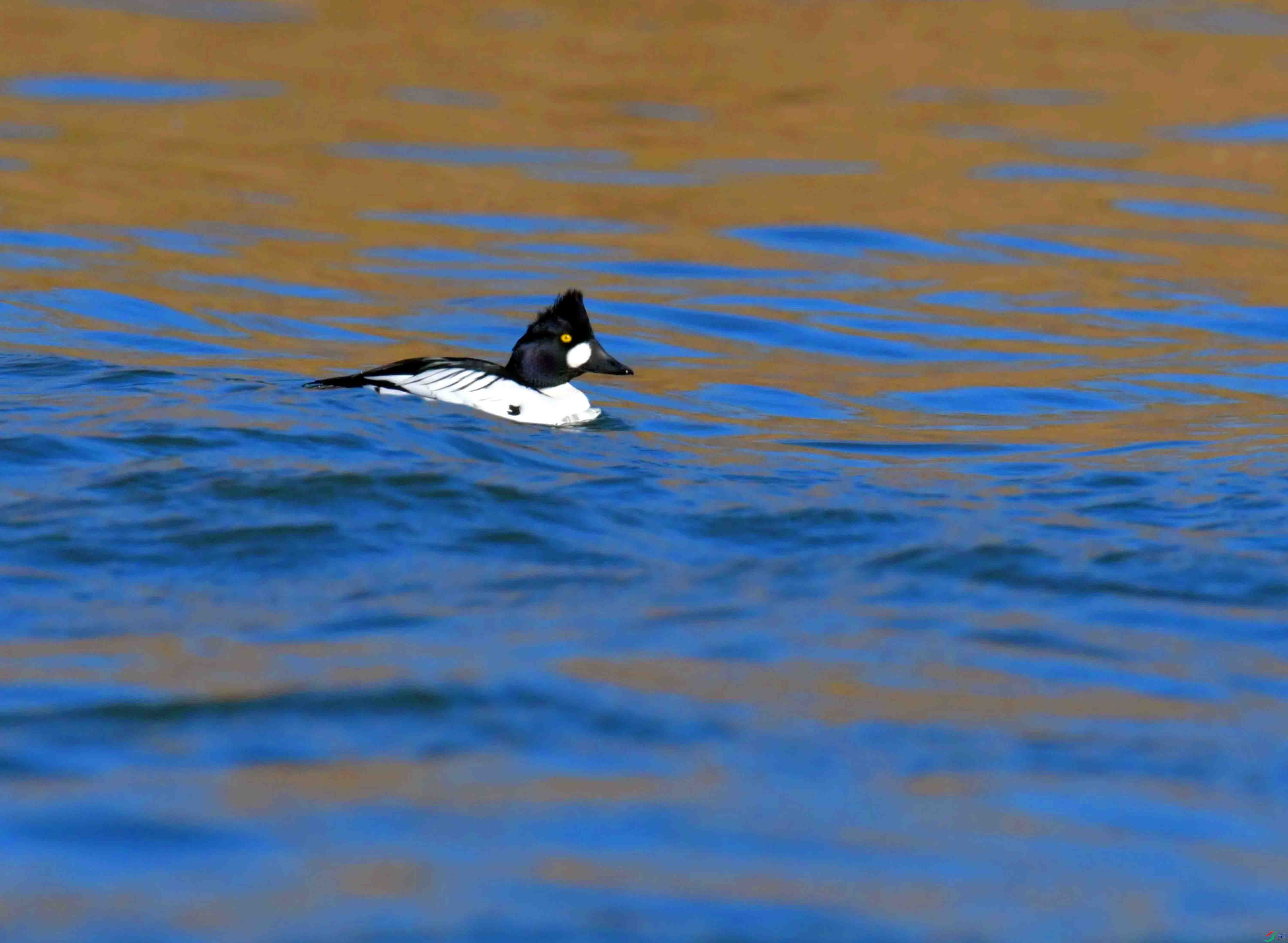 DSC_0379.JPG