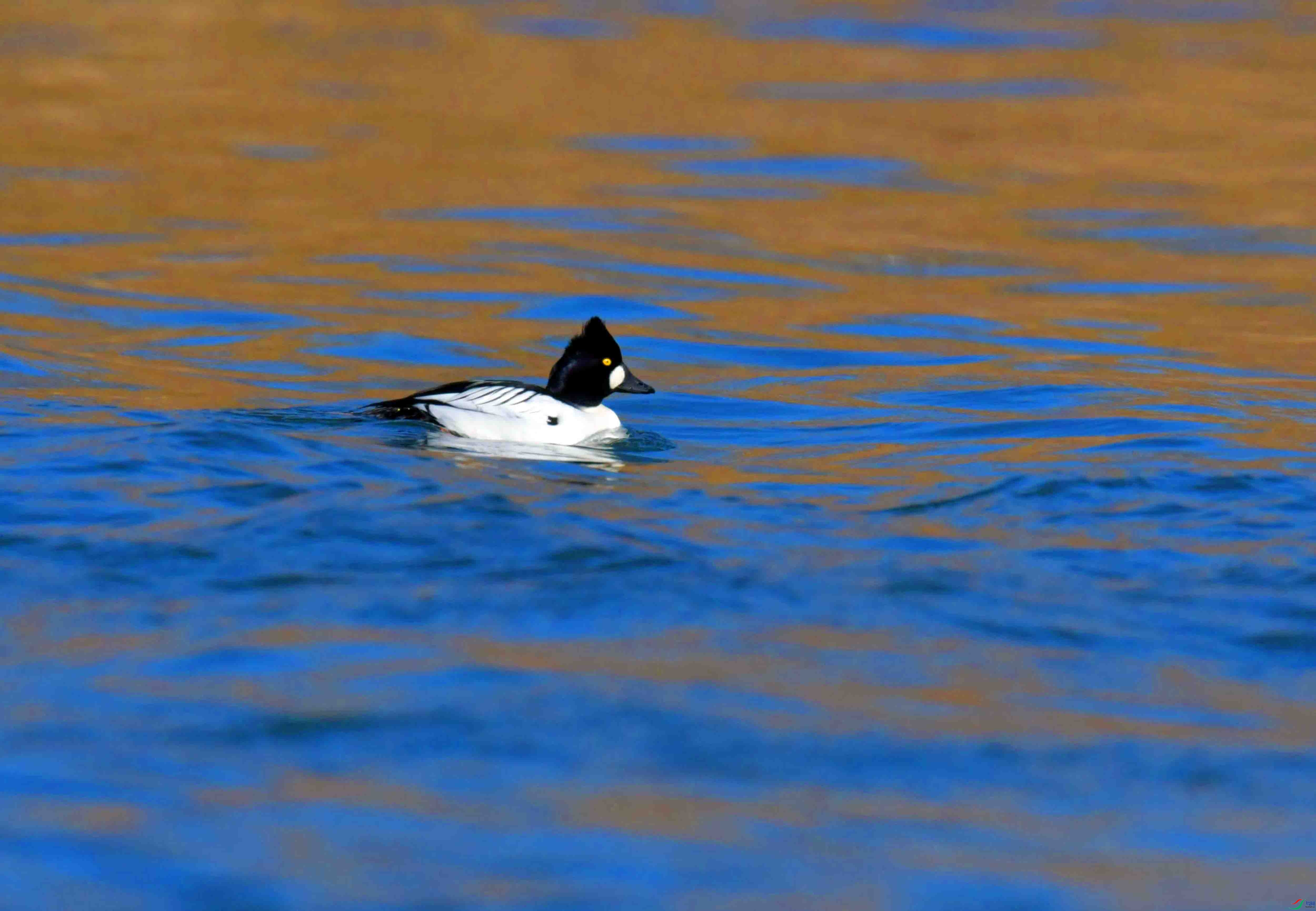 DSC_0385.JPG