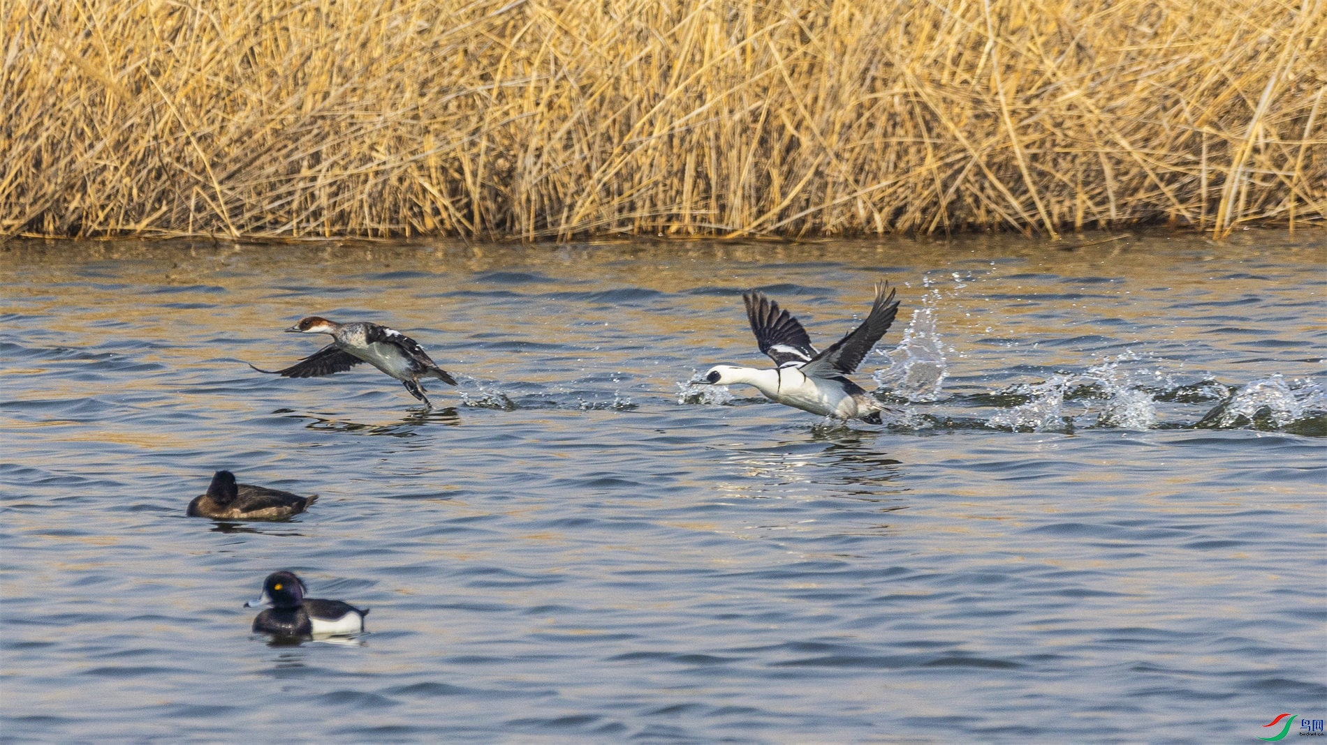 1K3A5665 ����1.jpg