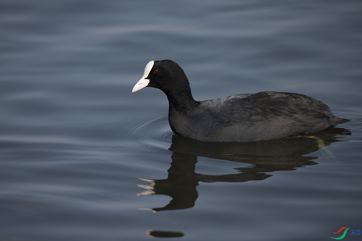_DSC8016-.jpg