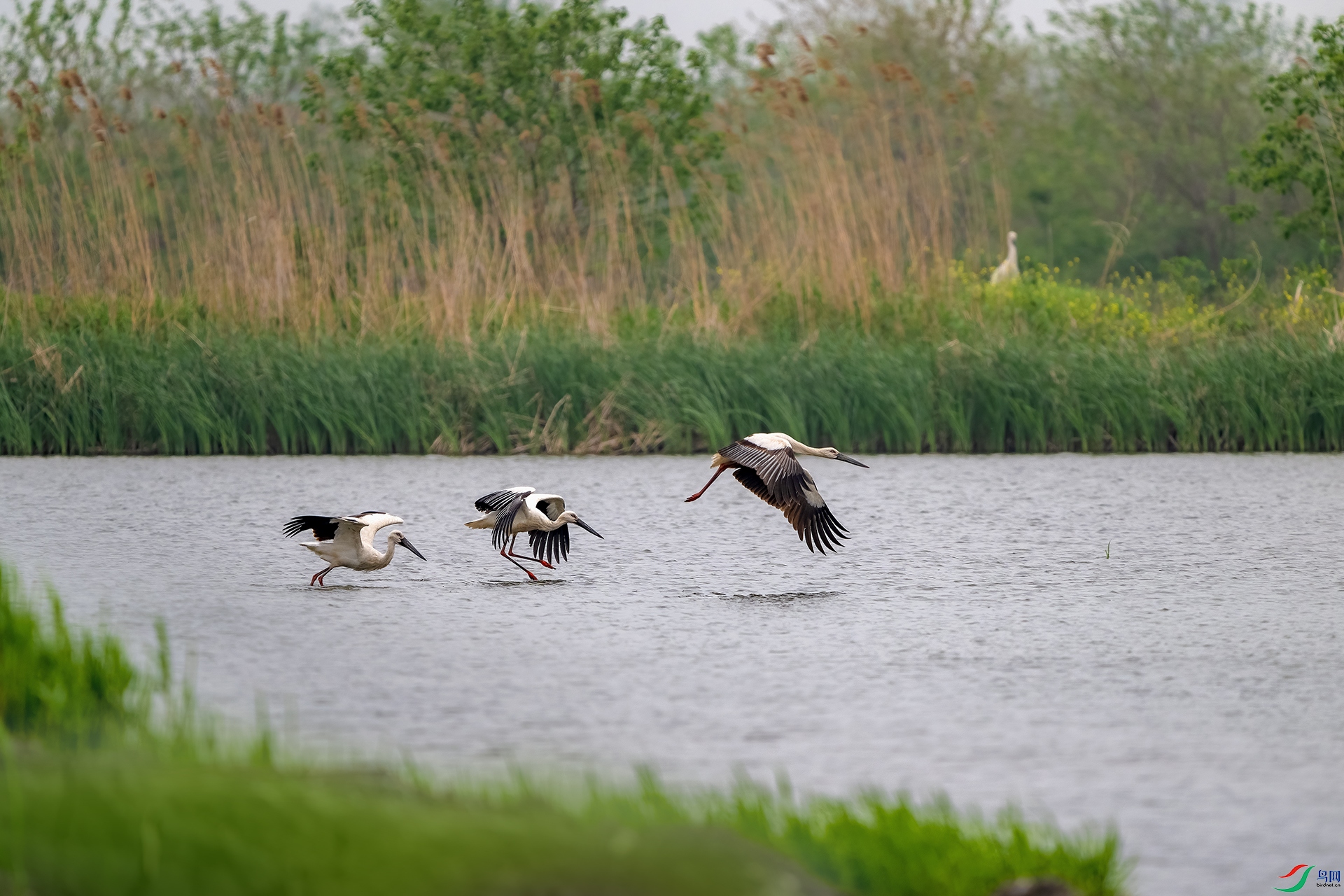 _DSC4472 ����.jpg