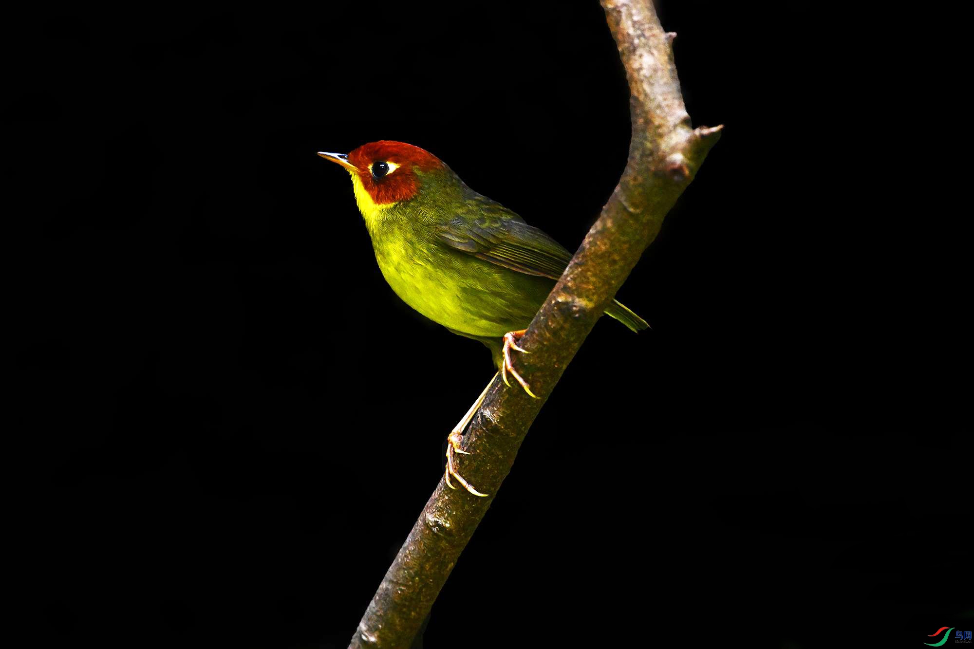 DSC_5840_.jpg