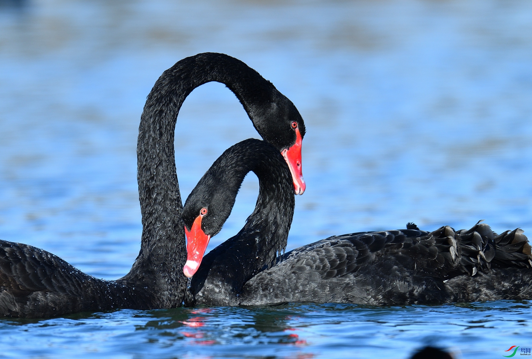 DSC_5732.JPG