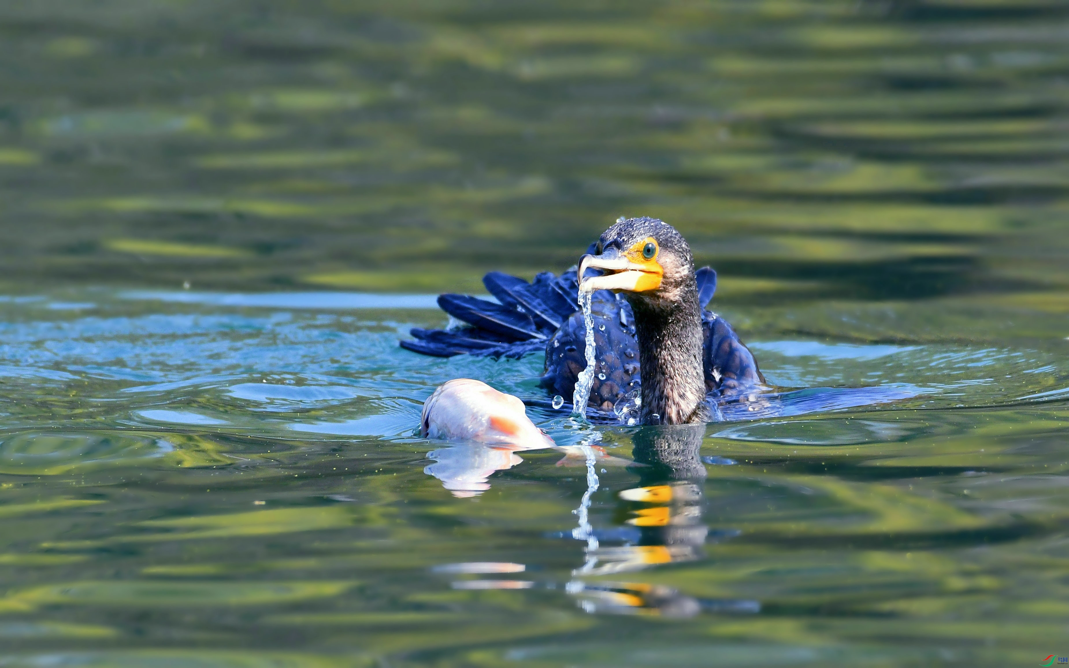 DSC_6579.JPG