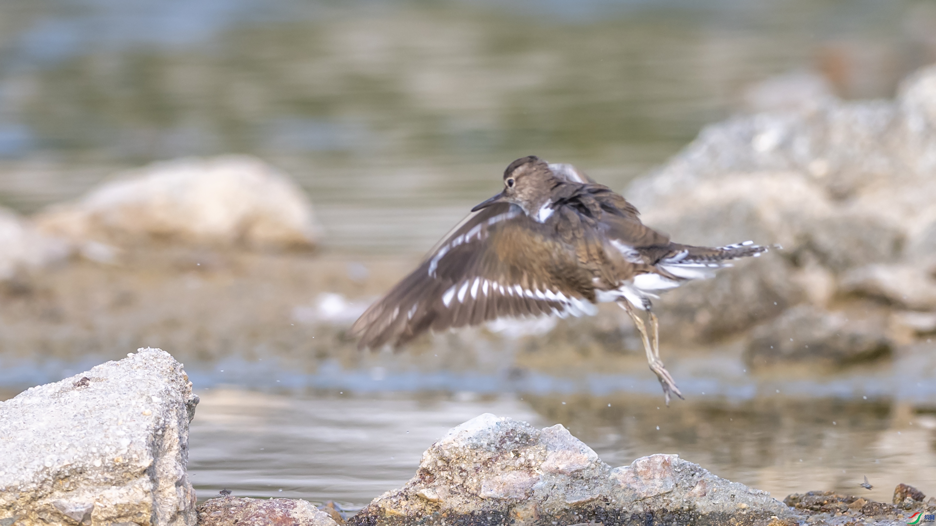 9549 ����.jpg