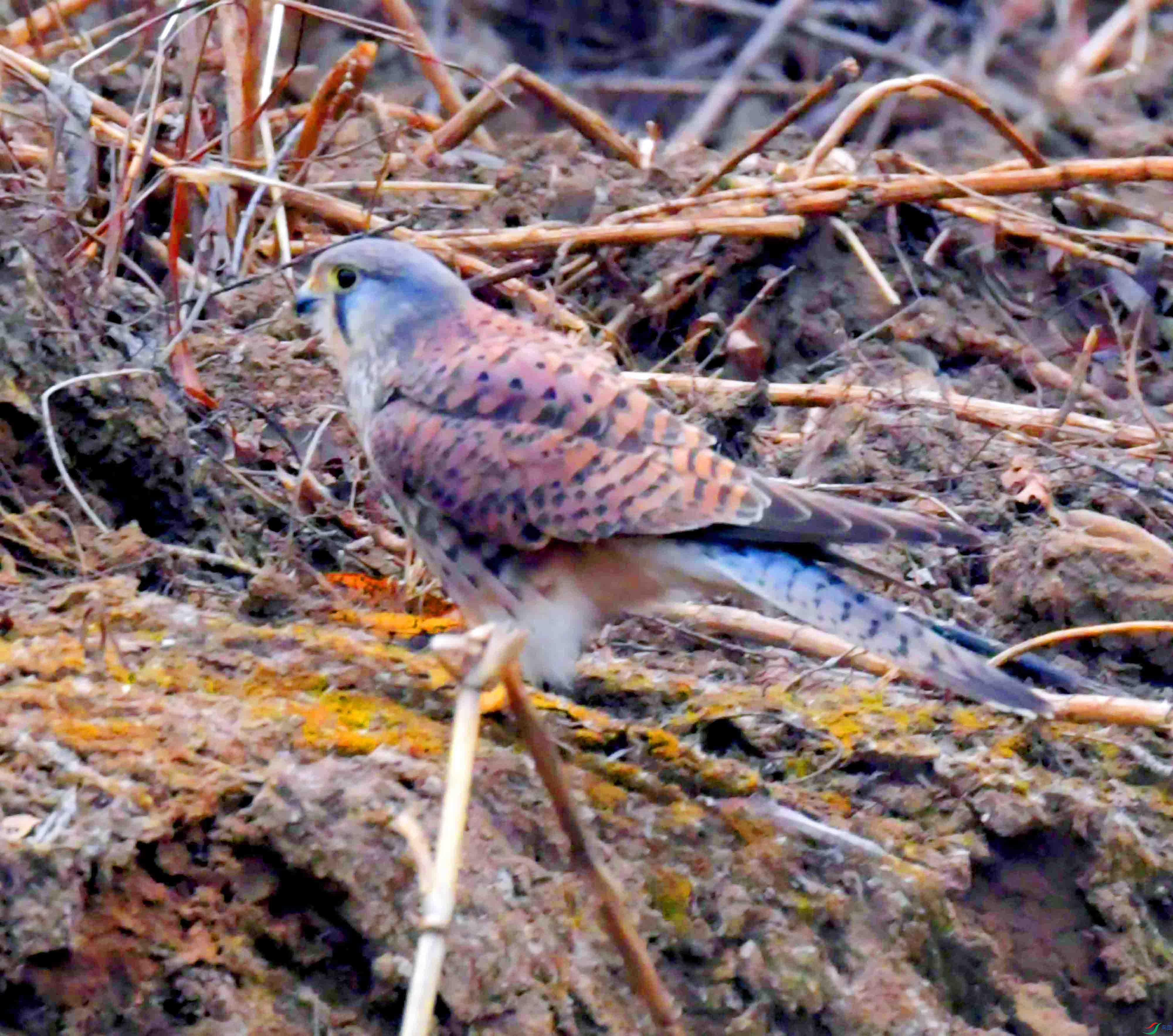DSC_3970.JPG