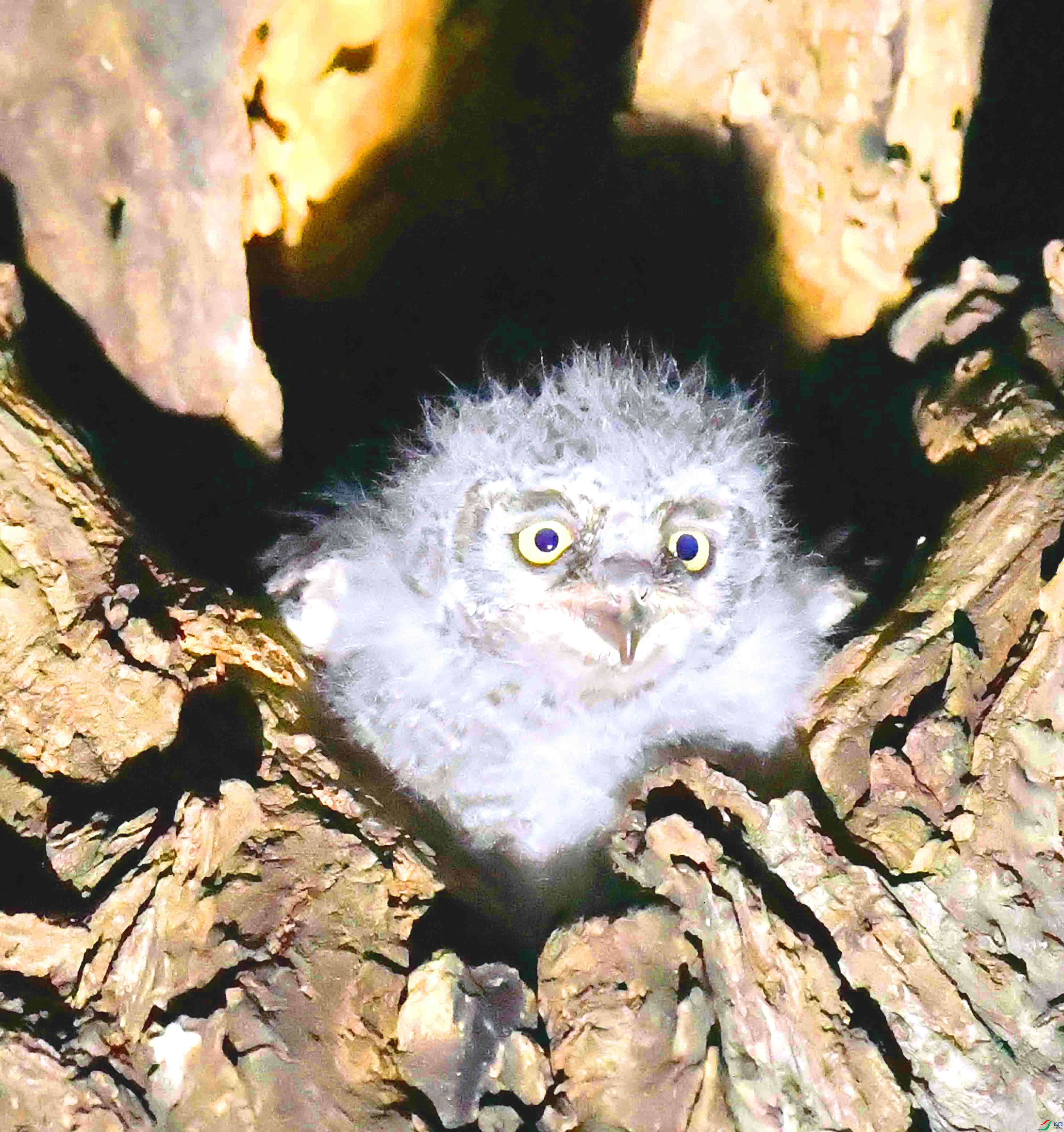 DSC_4903.JPG