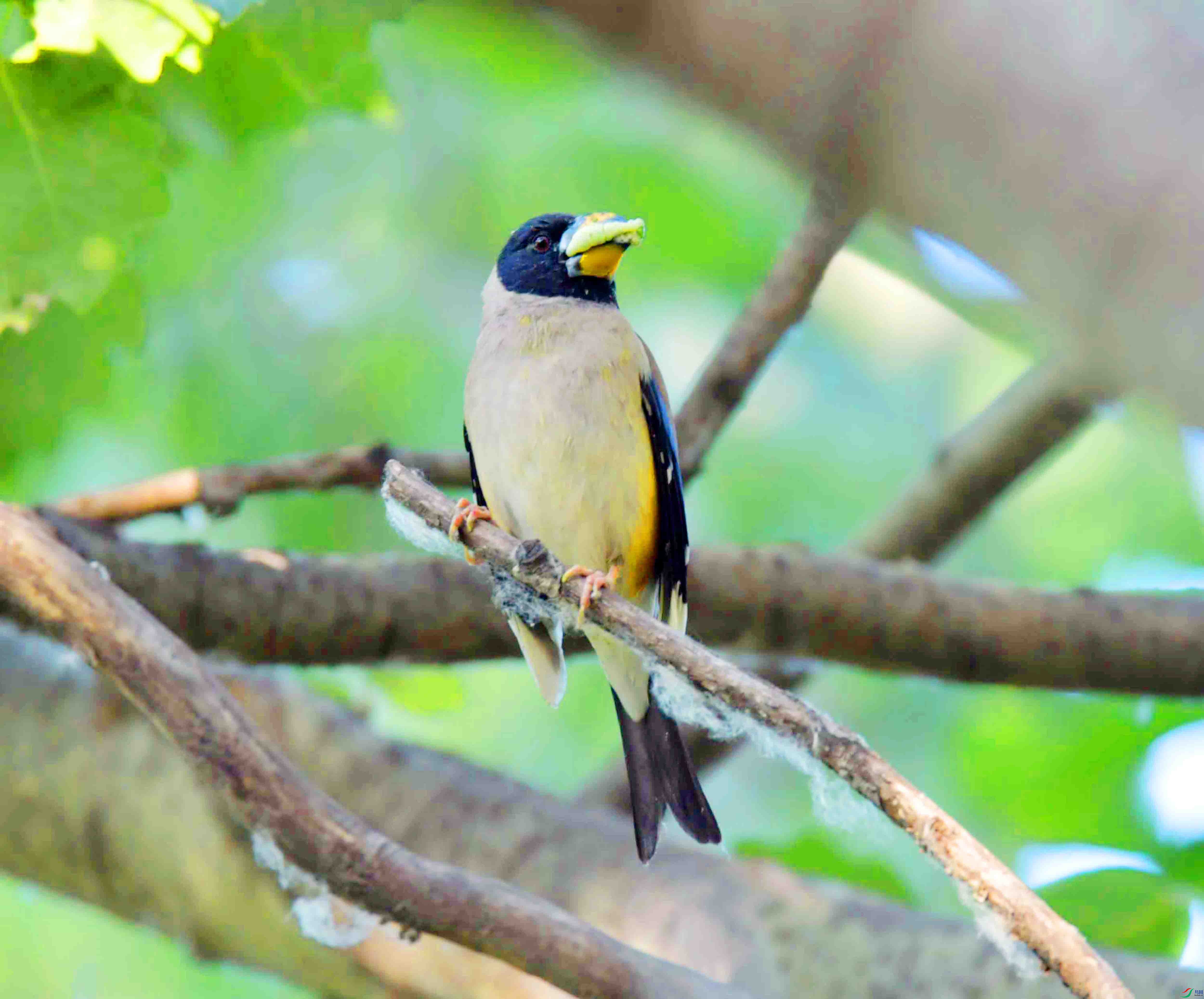 DSC_6678.JPG