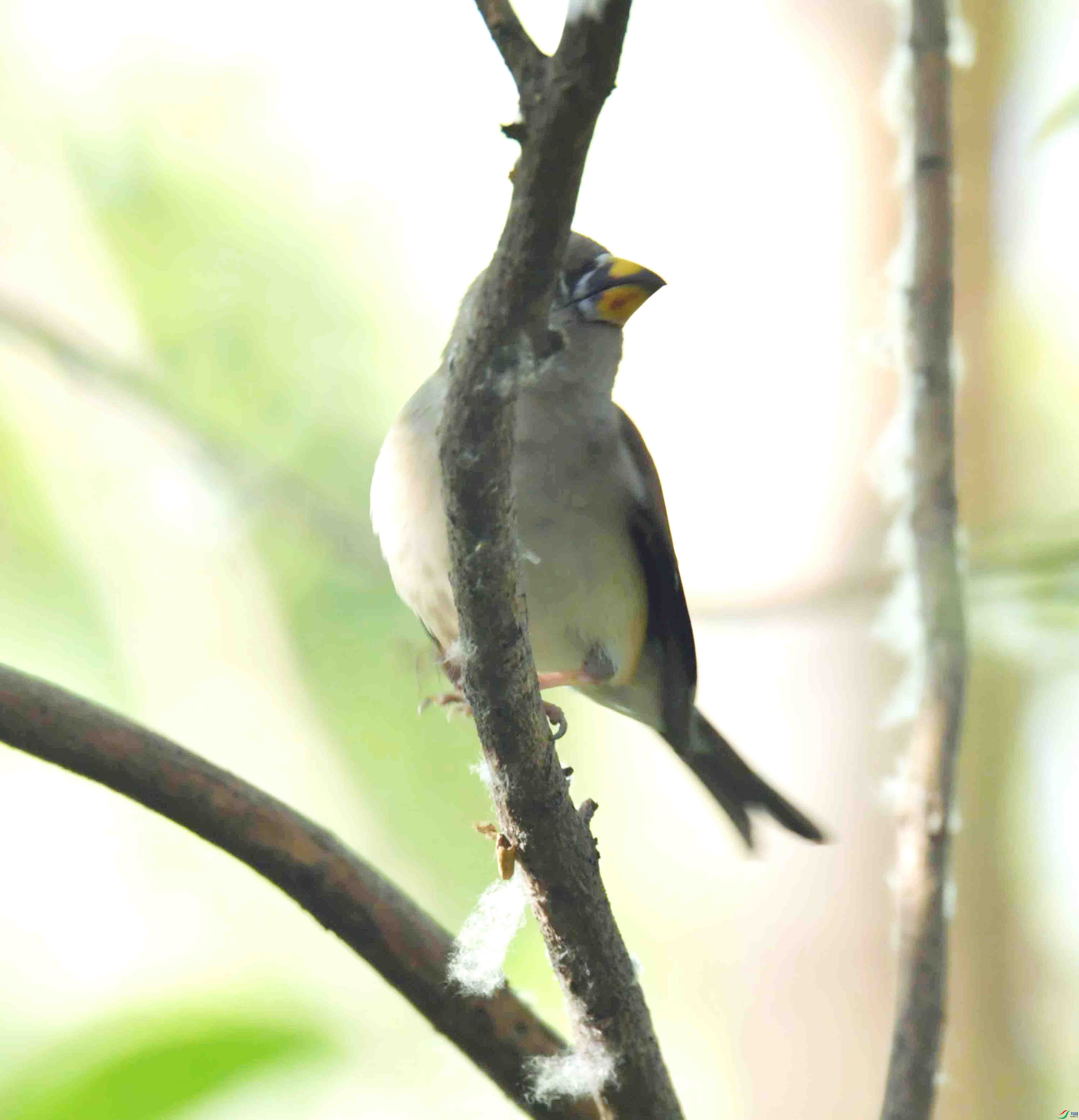 DSC_6785.JPG