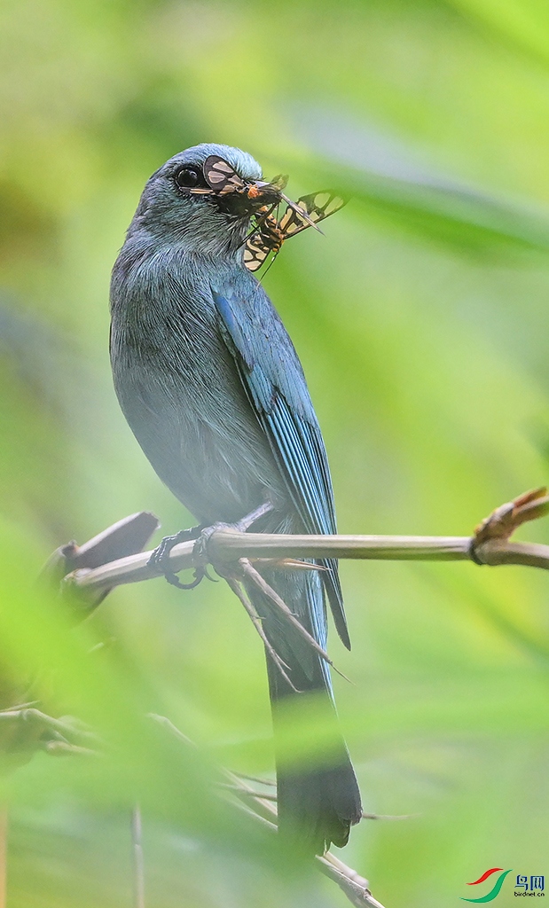 DSC_6820.jpg