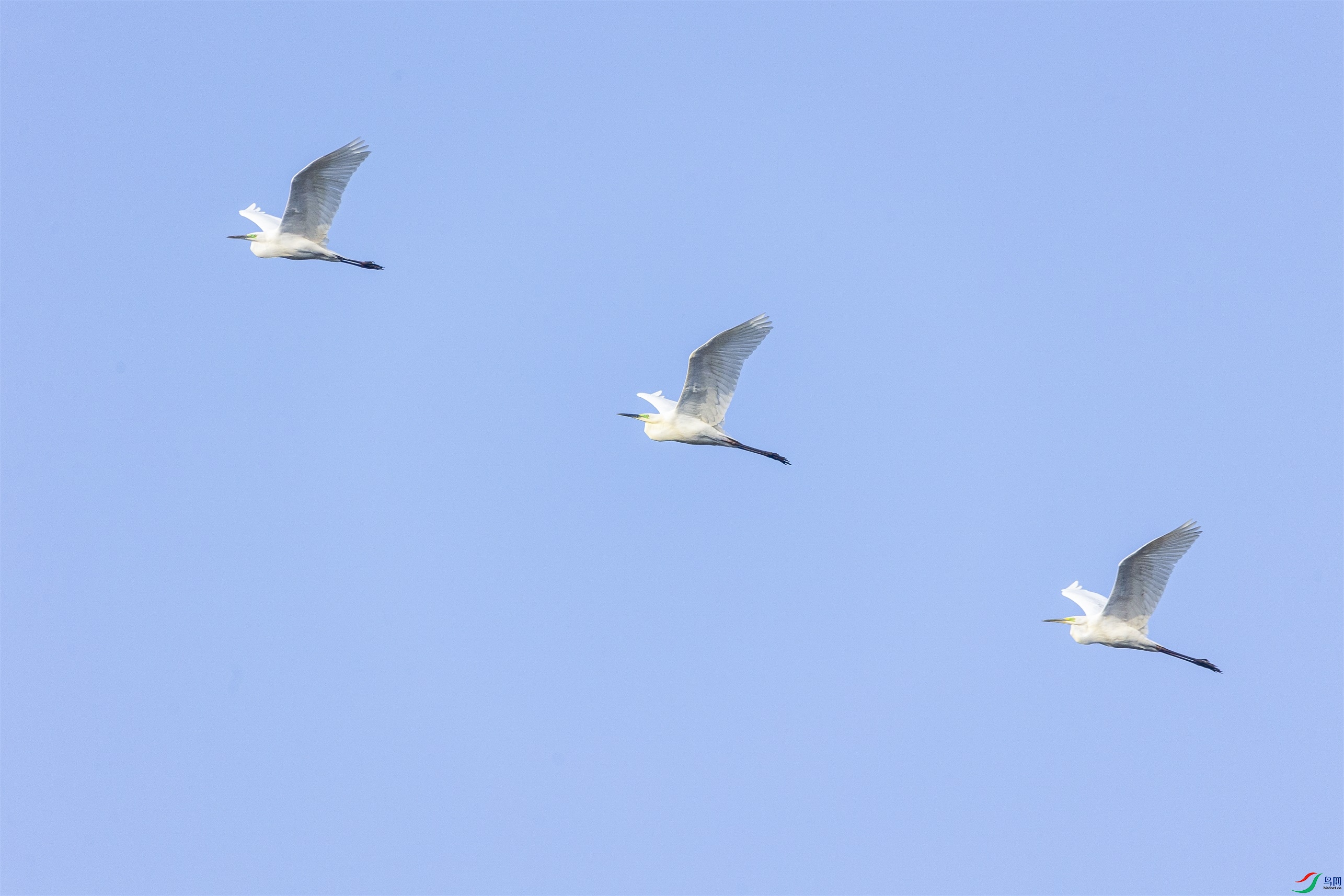 1K3A5761 ����1.jpg