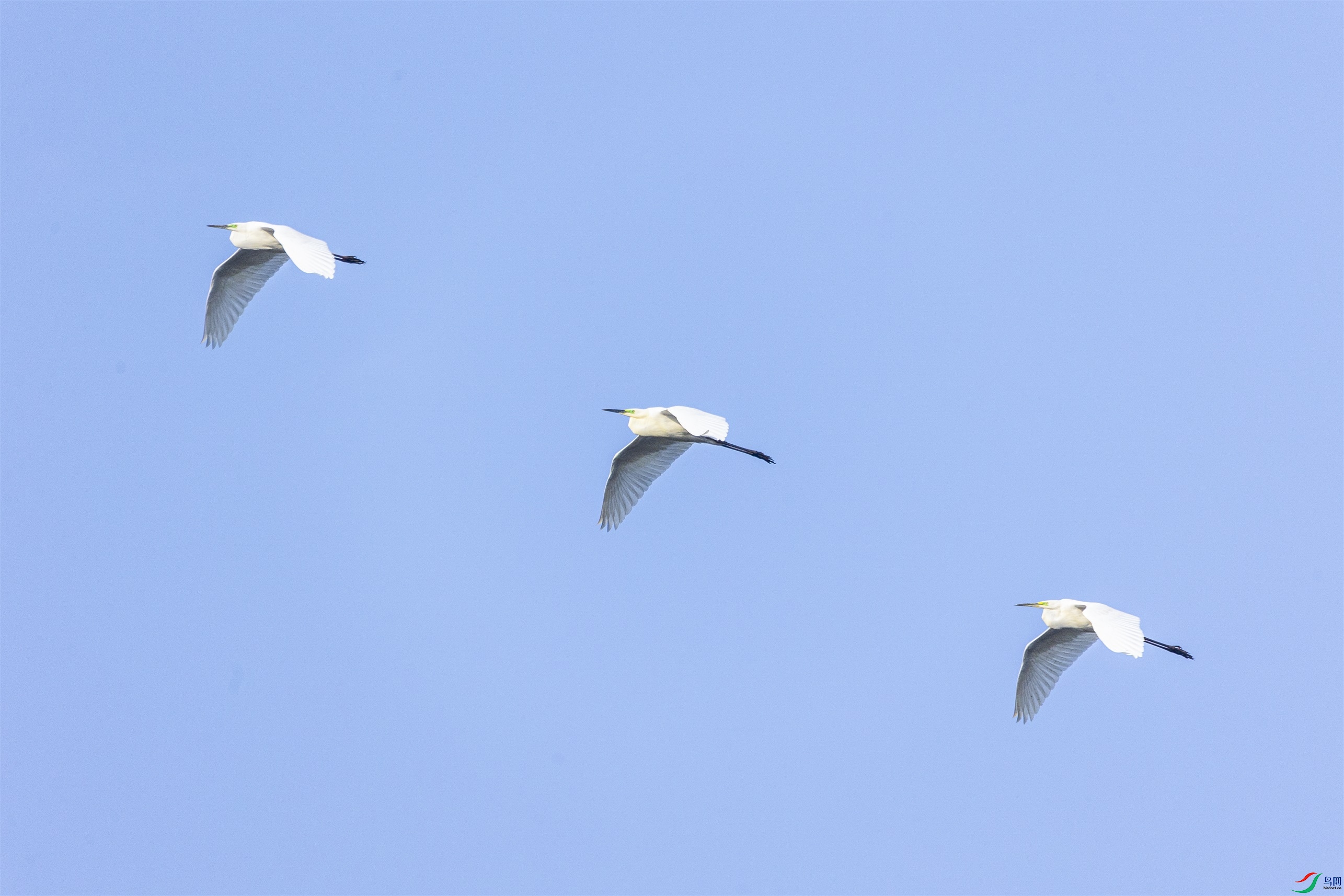 1K3A5764 ����1.jpg