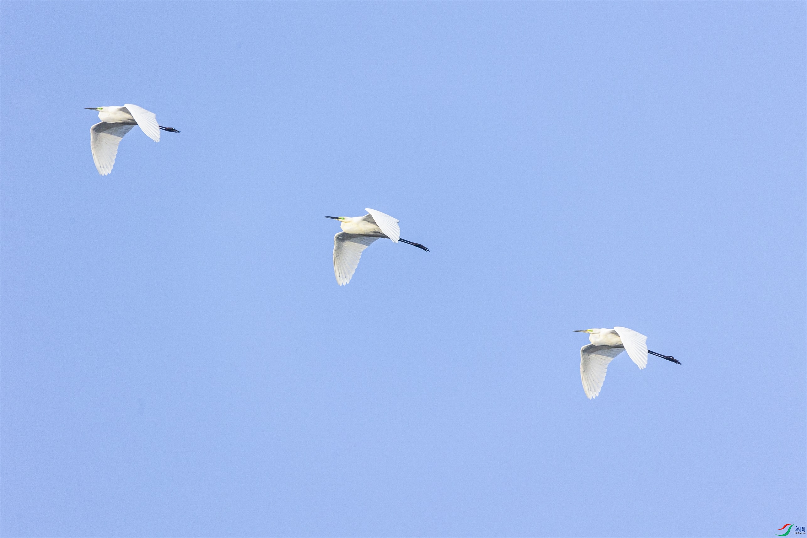 1K3A5765 ����1.jpg