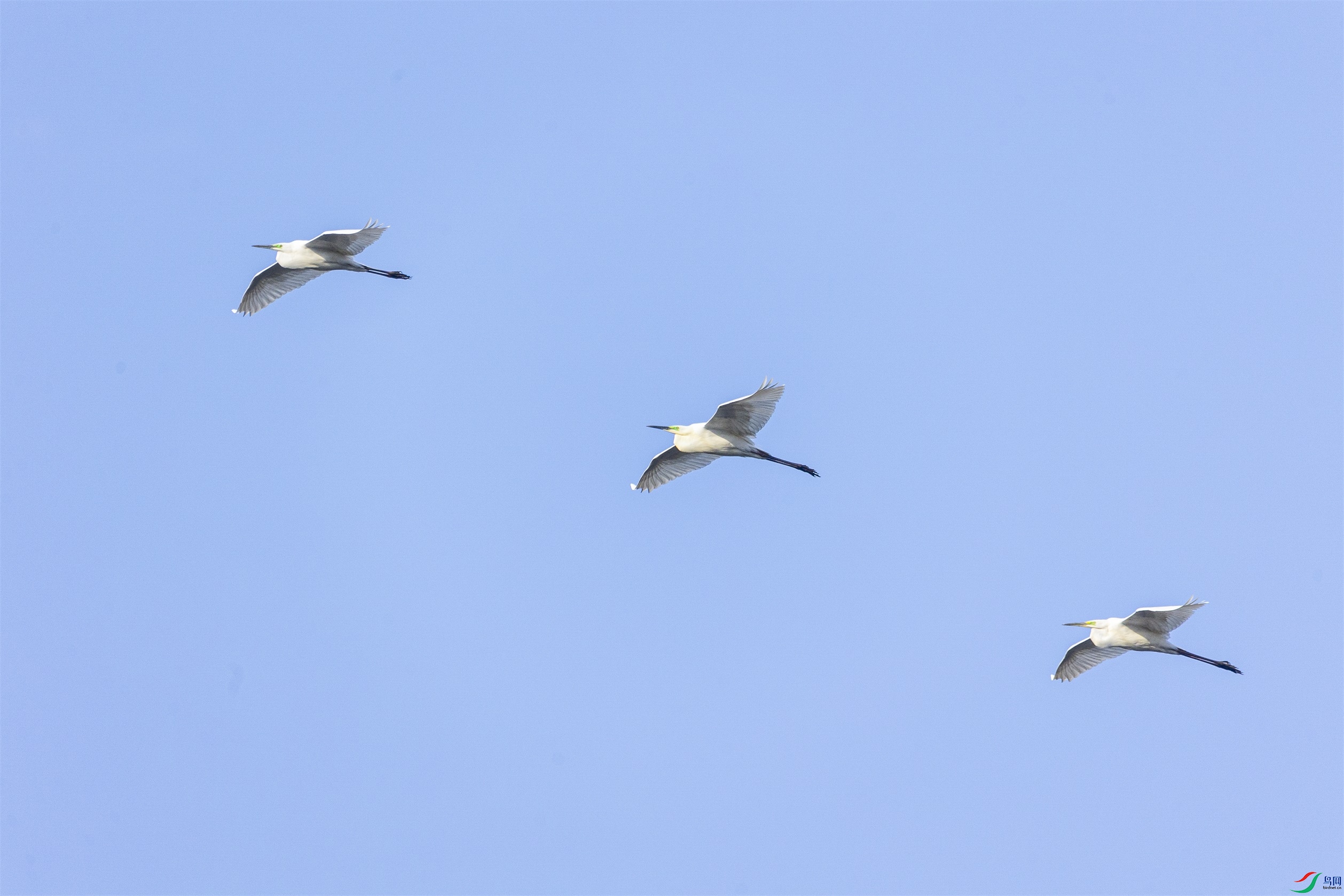 1K3A5763 ����1.jpg