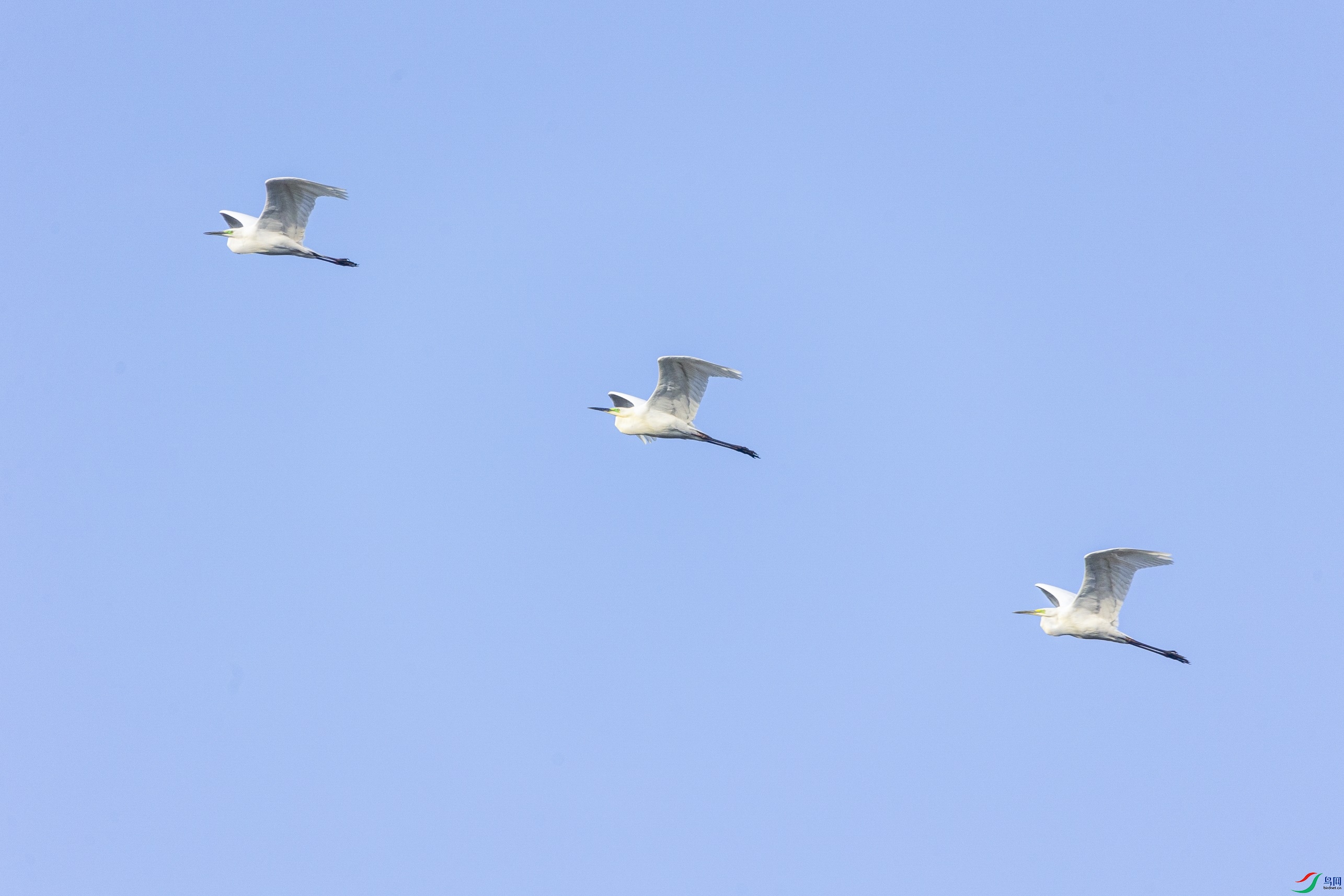 1K3A5760 ����1.jpg