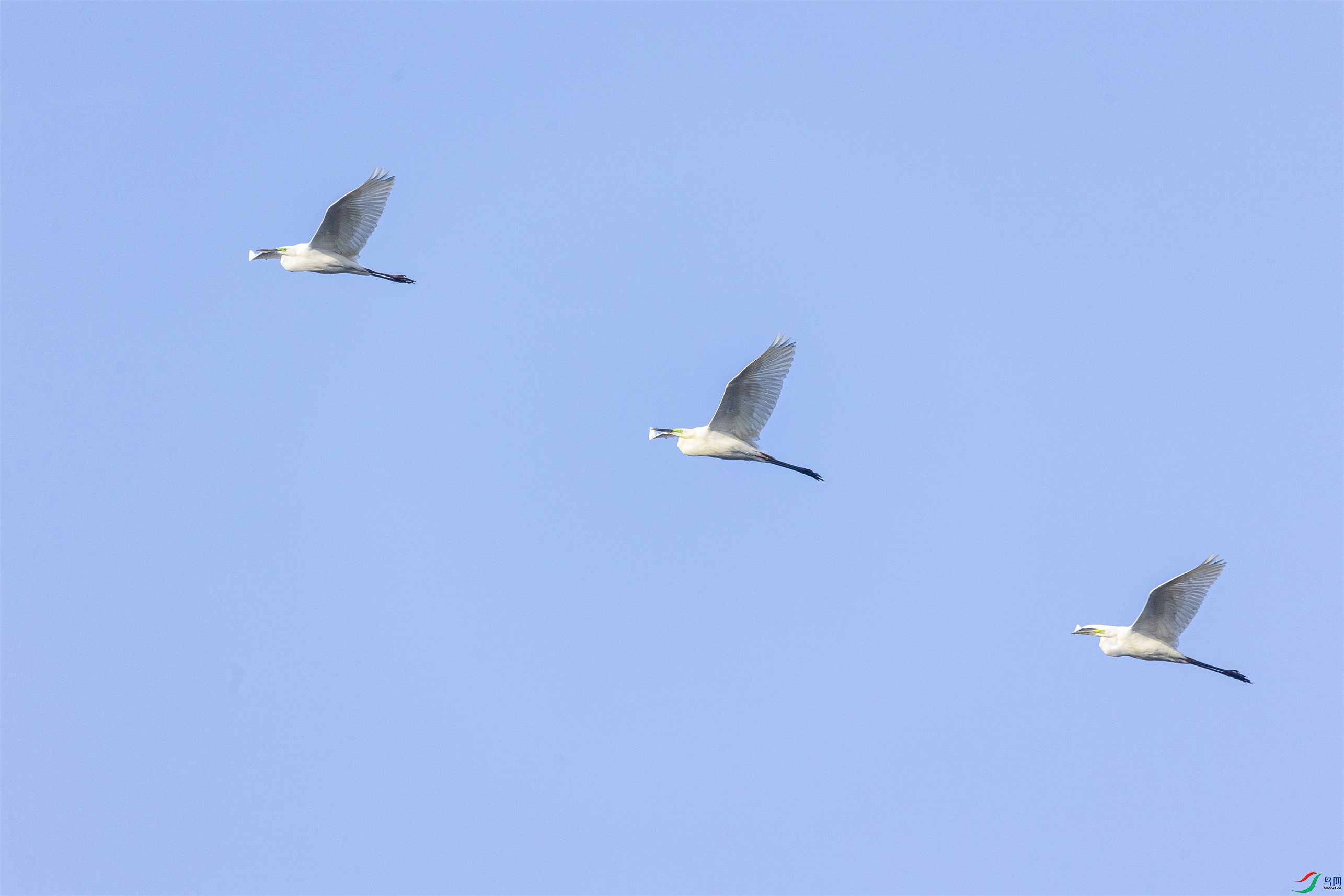 1K3A5762 ����1.jpg