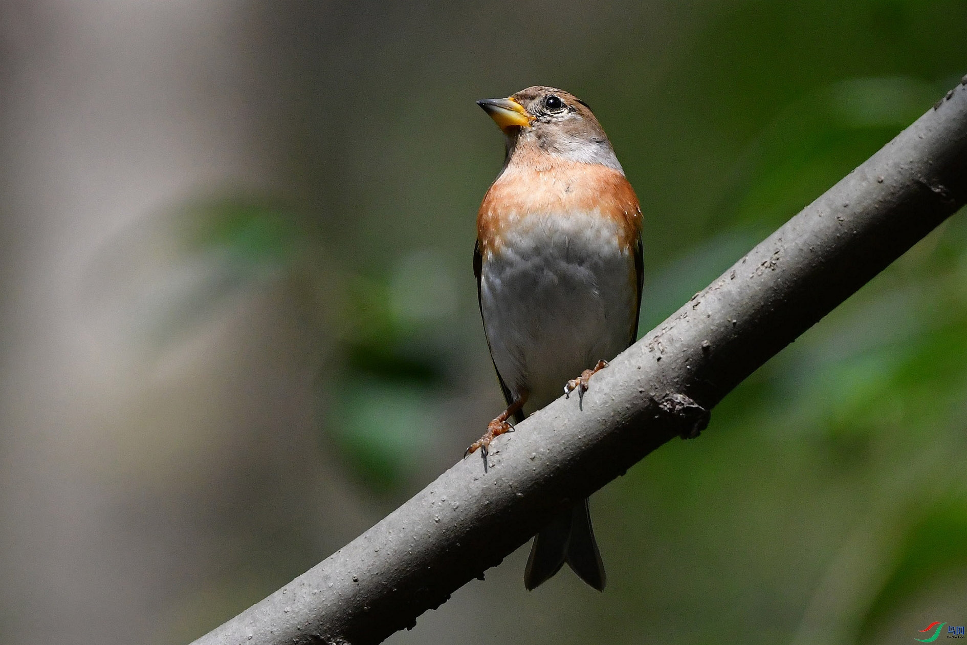 DSC_6685_����.jpg