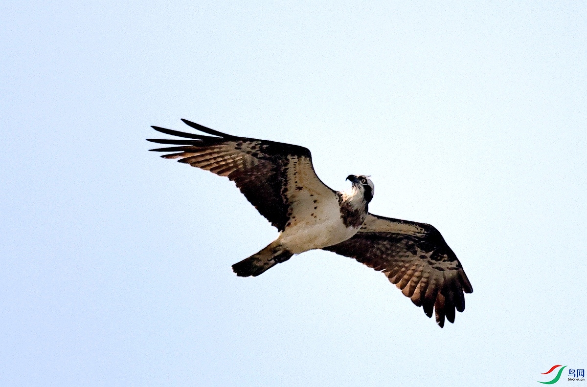 3A6801��-24.JPG